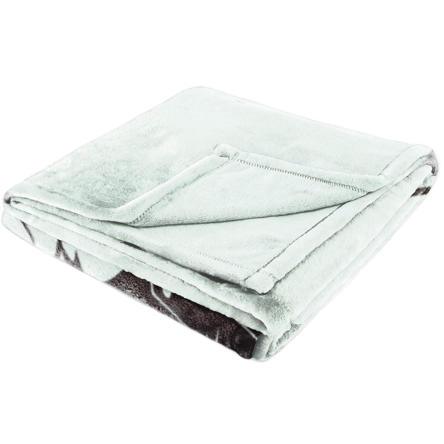 Jay Franco Plush Throw Blanket – Soft & Comfy 50x70 Inches Throw for Couch or Bed – Cozy Home Décor for Living Room & Bedroom, Light Green - Monopoly