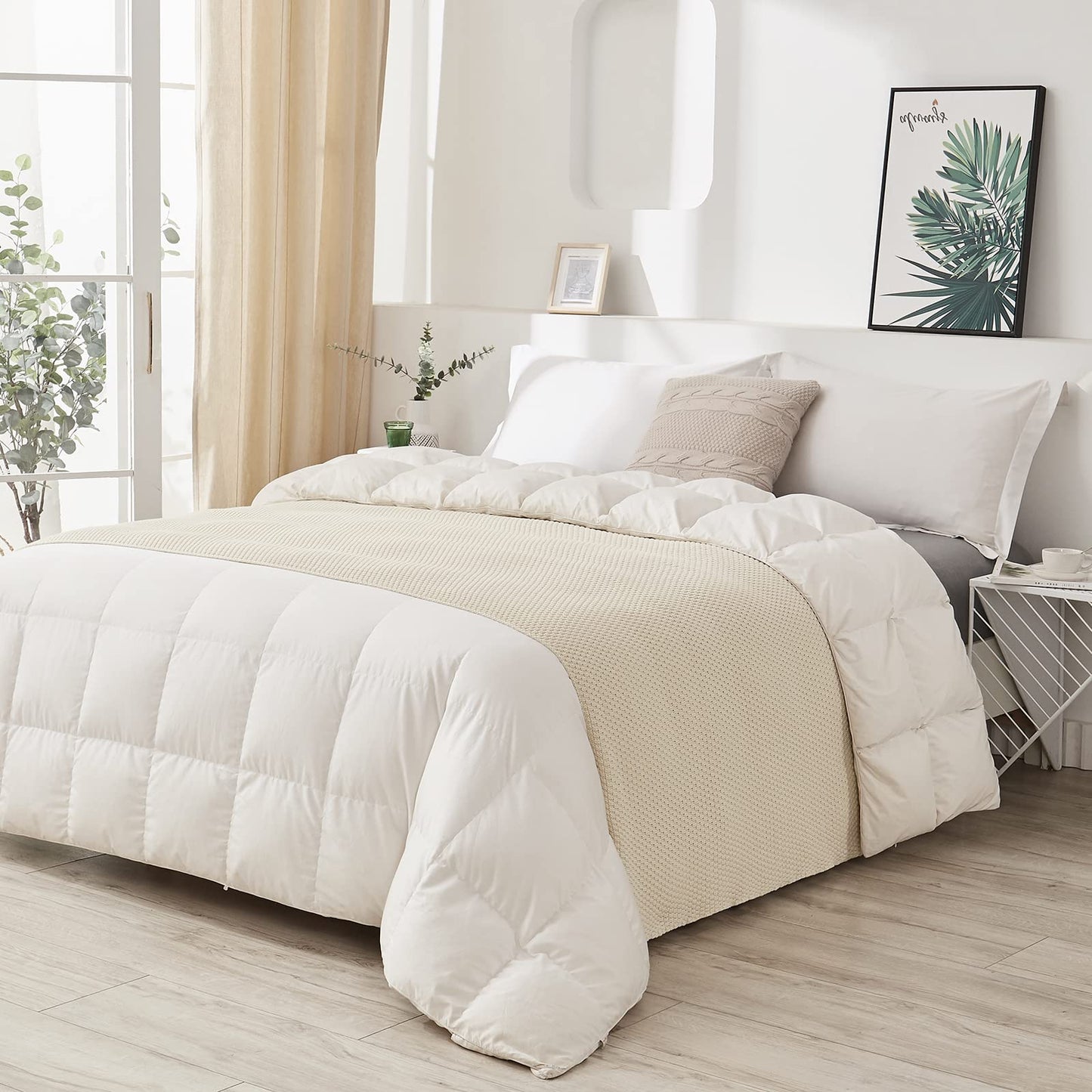 Longhui bedding 100% Cotton Knitted Throw Blanket – Cream, Soft & Cozy, Machine Washable, 60"x80" – Perfect for Living Room, Couch, Sofa, Bed or Travel