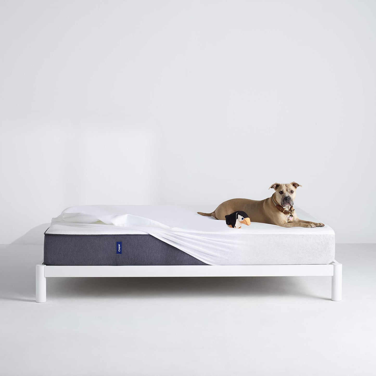 Casper Sleep Waterproof Mattress Protector, Queen, White