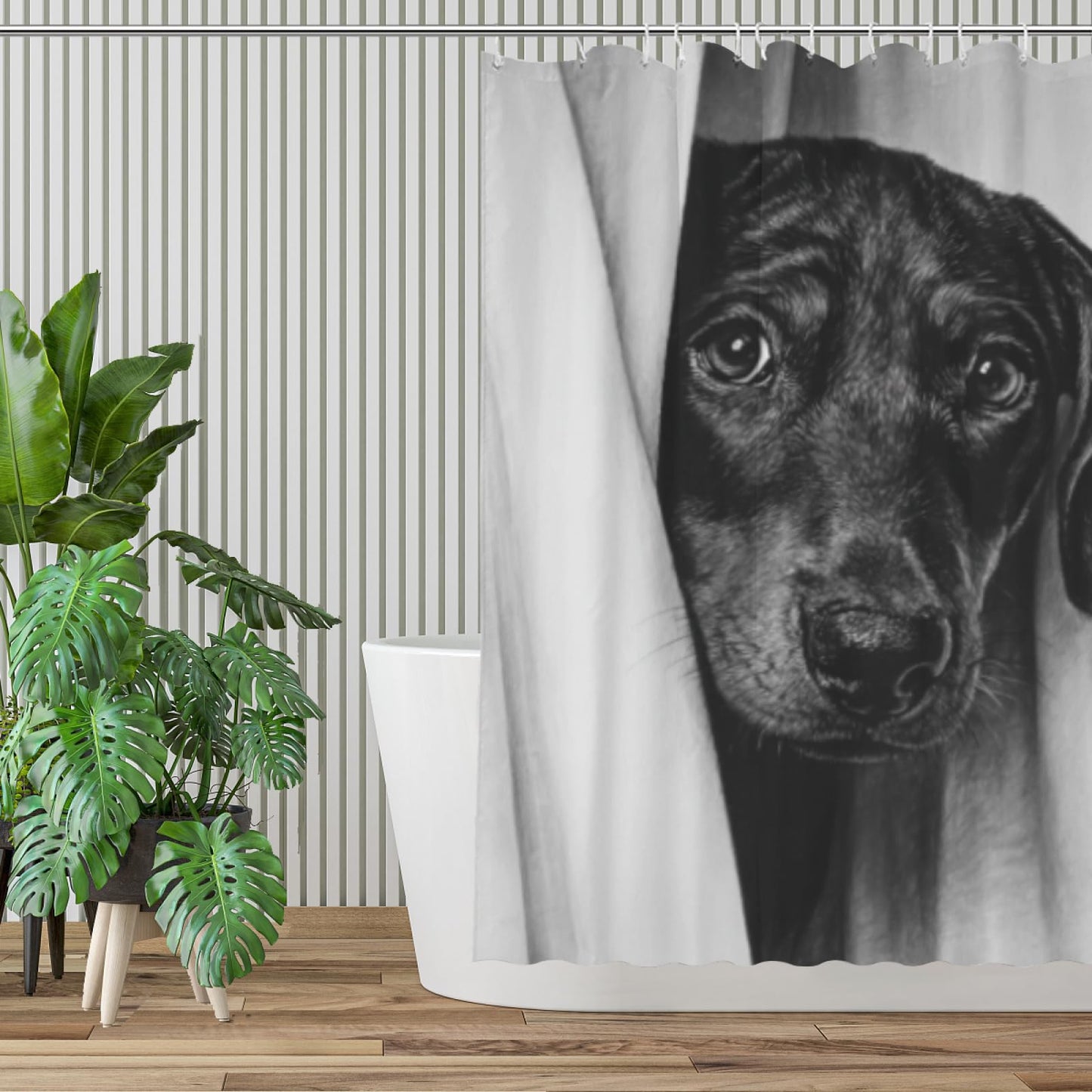 Wordatu Doberman Shower Curtain Funny are You Pooping Black and White Bath Curtain Bathroom Decor Animal Toilet Resistant Fabric with 12 Hooks 72x72