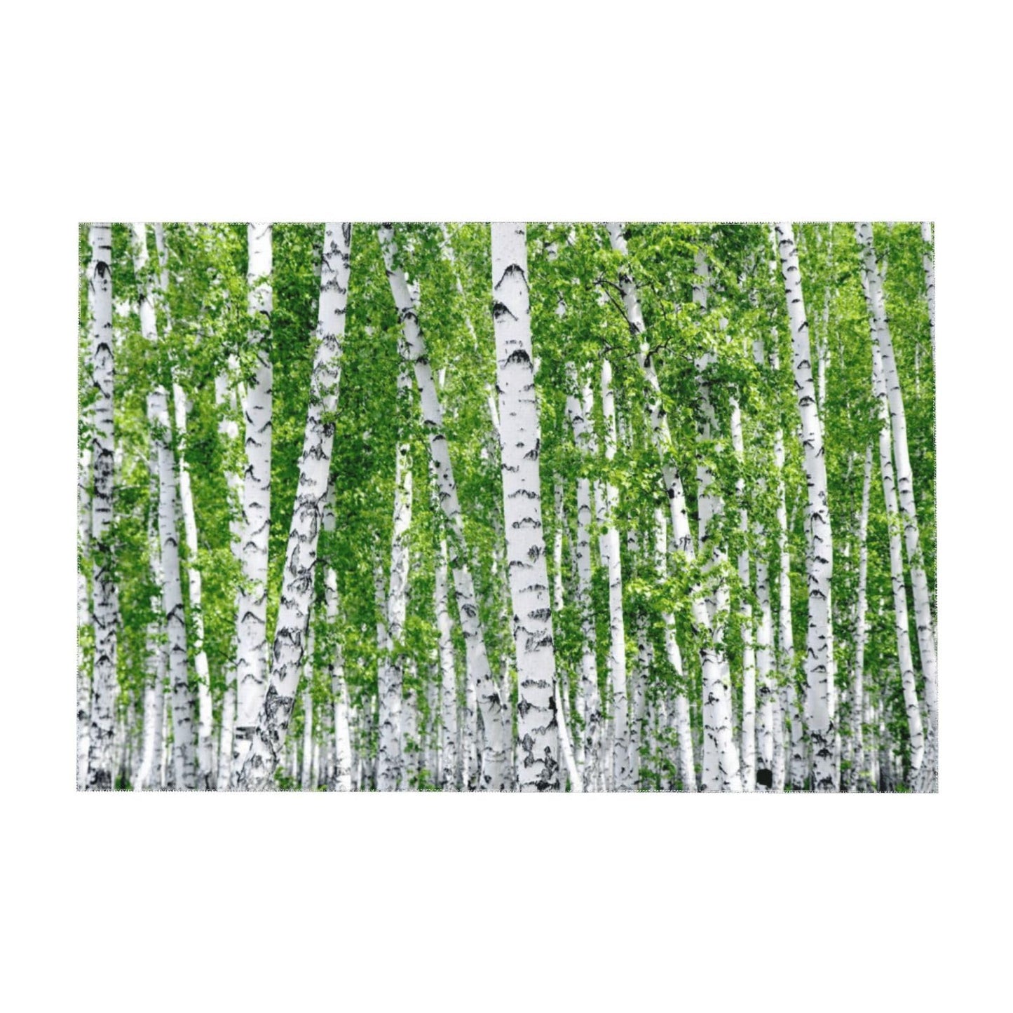 RTAFGU Forest Tablecloth, Waterproof Table Cloth Vibrant Green Birch Forest, Nature Woodland Decor Design Stain Resistant Spillproof Polyester for Kitchen Dining Party Rectangular 55" x 35"