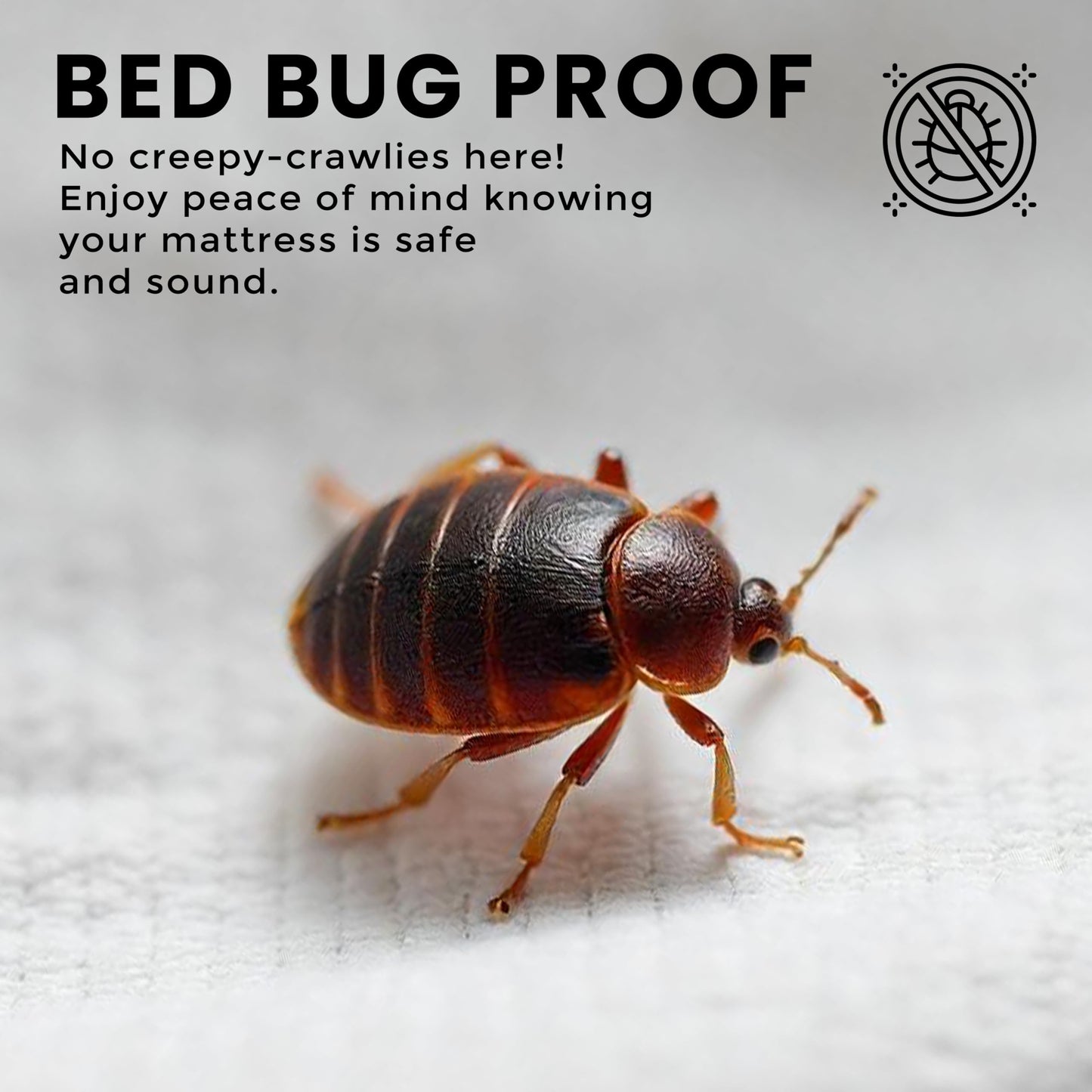 Utopia Bedding Premium Waterproof Bed Bug Mattress Cover, Twin Zippered Mattress Protector, 12 Inches Deep, Dust Mite Proof 6-Sided Mattress Encasement for Bed