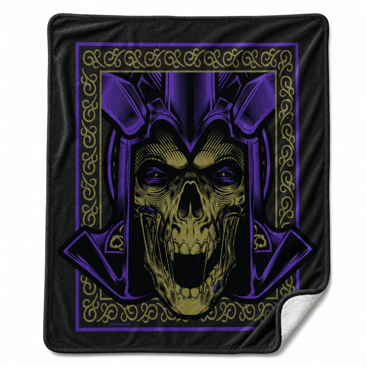Northwest Dungeons and Dragons Silk Touch Plush Throw Blanket, 40 x 50 Inch Microfiber Lap Throw (Hydro Master)
