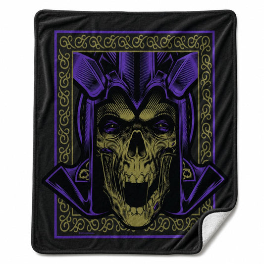 Northwest Dungeons and Dragons Silk Touch Plush Throw Blanket, 40 x 50 Inch Microfiber Lap Throw (Hydro Master)