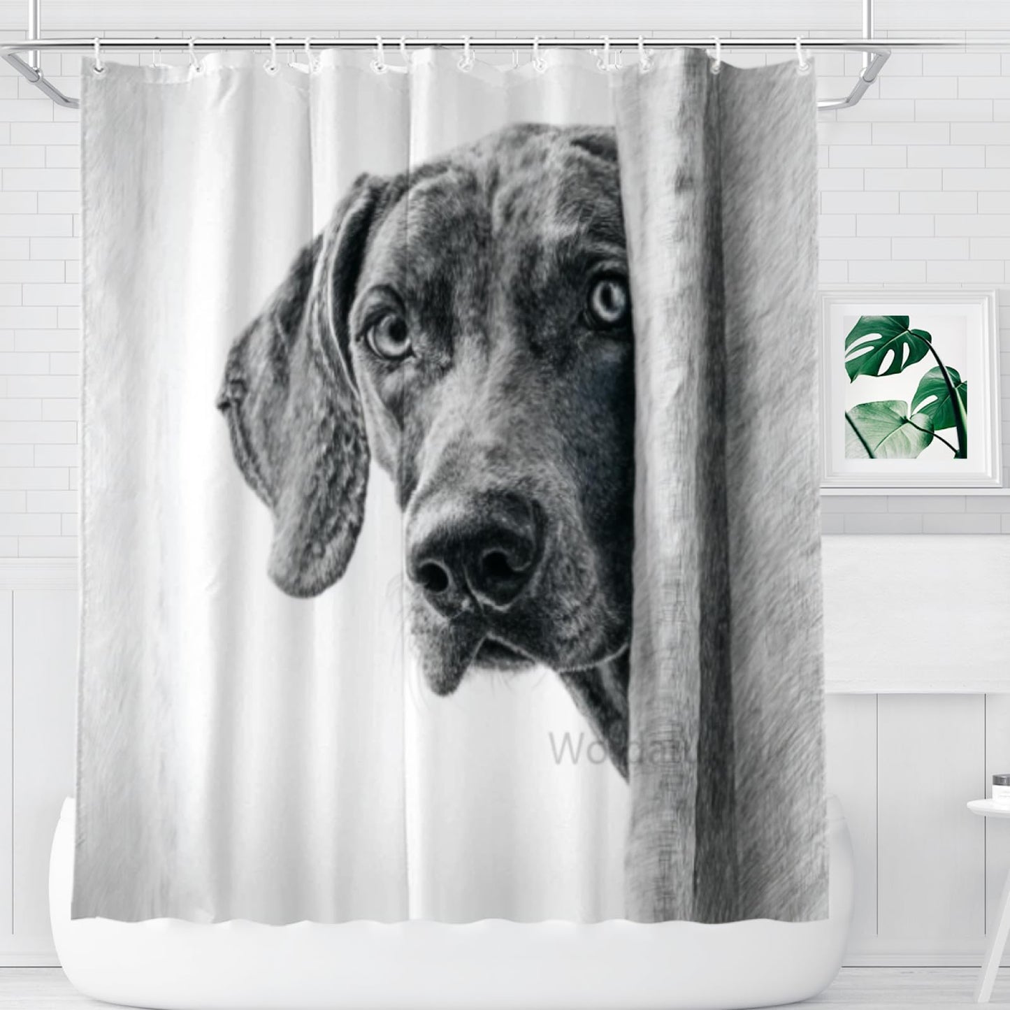 Wordatu Weimaraner Shower Curtain Bathroom Set 72x72 Inches Taking a Bubble Bath Animal Bath Animal Pet Dog Art Home Decor 12 Hooks