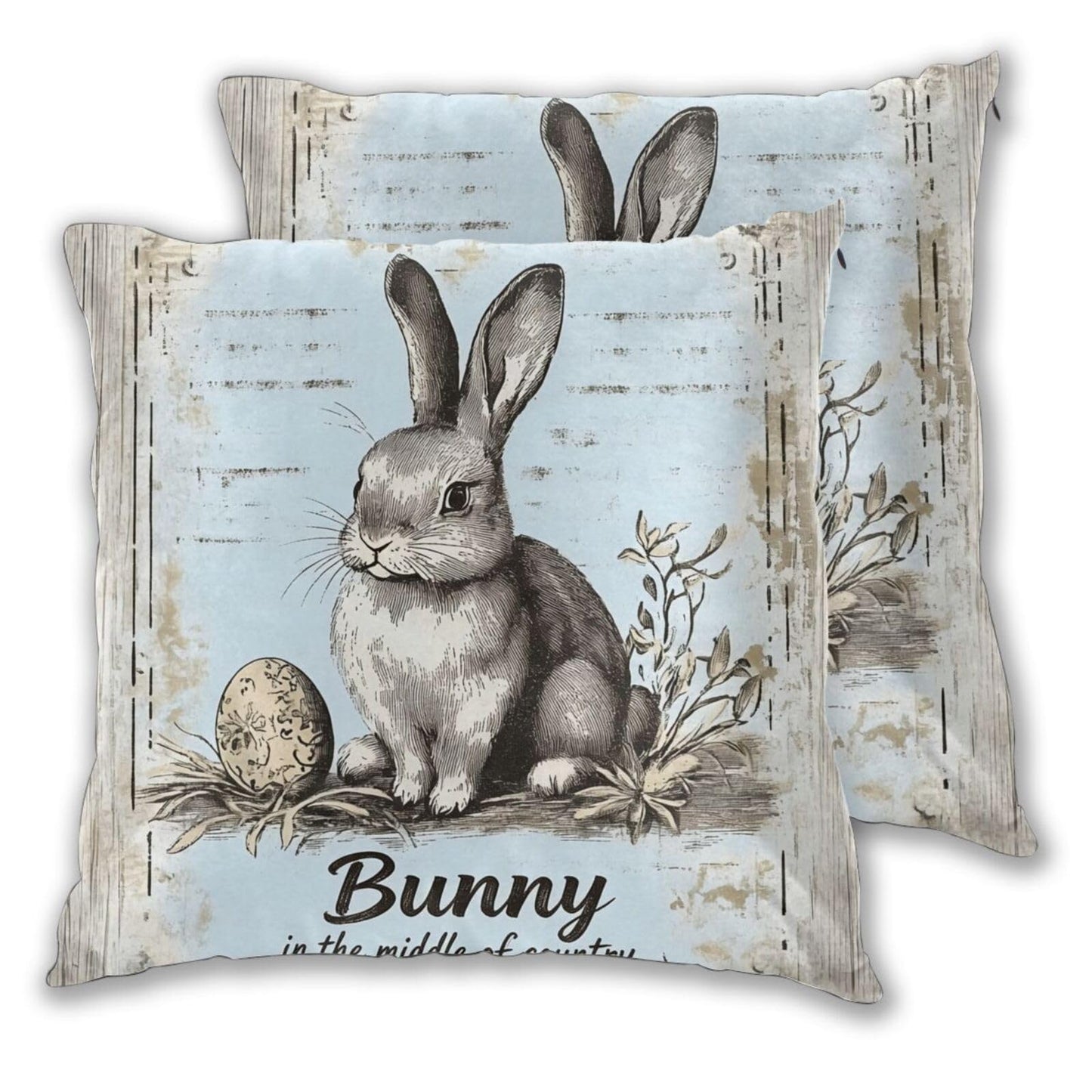 Droerfes Bunny Egg Throw Pillow Covers Set of 2 Couch Pillow Case Decoration Cushion Covers for Sofa Home Living Room Bedroom Outdoor 18X18 Inch