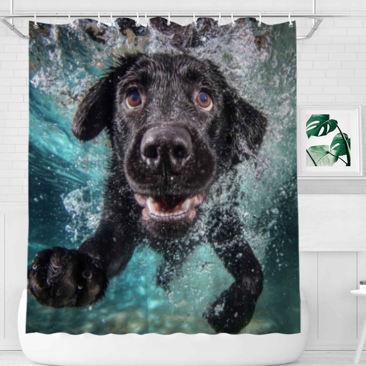 Wordatu Shower Curtains Swimming Black Labrador Dog Cute Animal Pet in Blue Water Ocean Pool Fabric Polyester, Bathroom Curtains with 12 Hooks 72x72 Inch