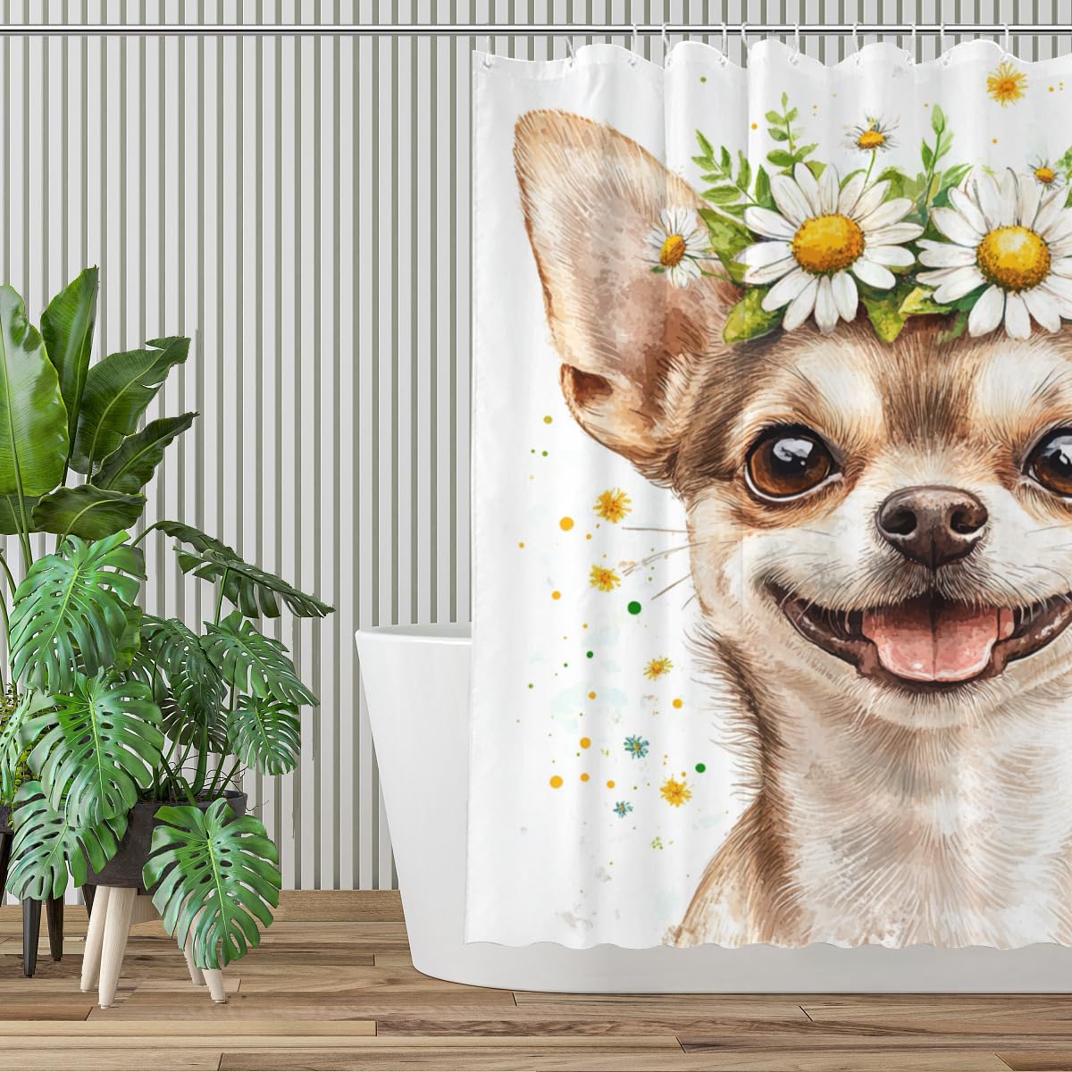 NGZ White Daisy Floral Shower Curtain Chihuahua Shower Curtain Farmhouse Flower Spring Rustic Blossom Fabric Bathroom Decor Set with Hooks（72Wx72H）
