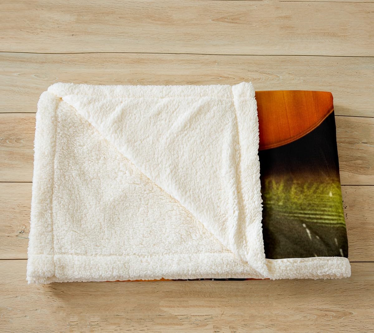 Feelyou Cello Accordion Fleece Sherpa Blanket for Bed Couch Chair - Ultra Soft Classical Musical Theme Throw With Guitar - Fuzzy Comfort Room Decor Reversible 50"x60"