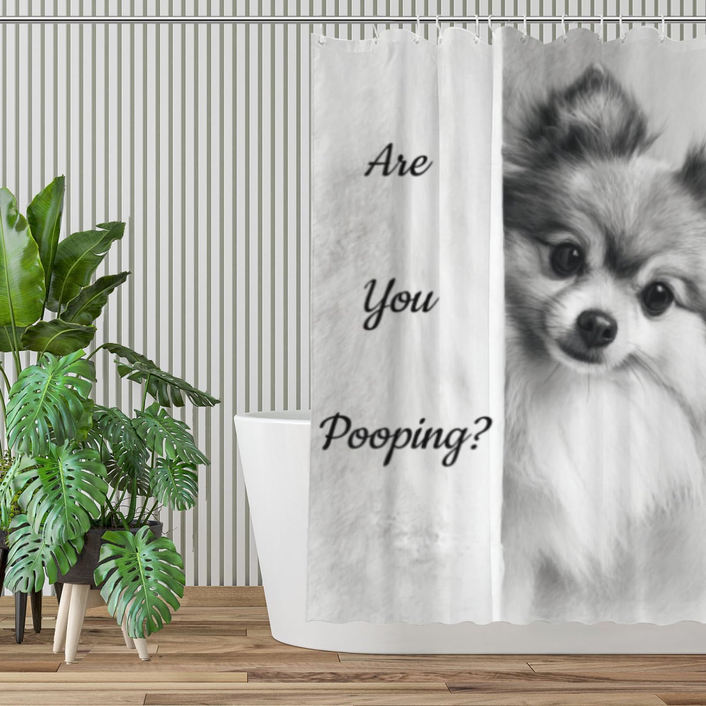 Wordatu Pomeranian Shower Curtain Bathroom Set 72x72 Inches are You Pooping Bath Animal Bath Animal Pet Dog Art Home Decor 12 Hooks