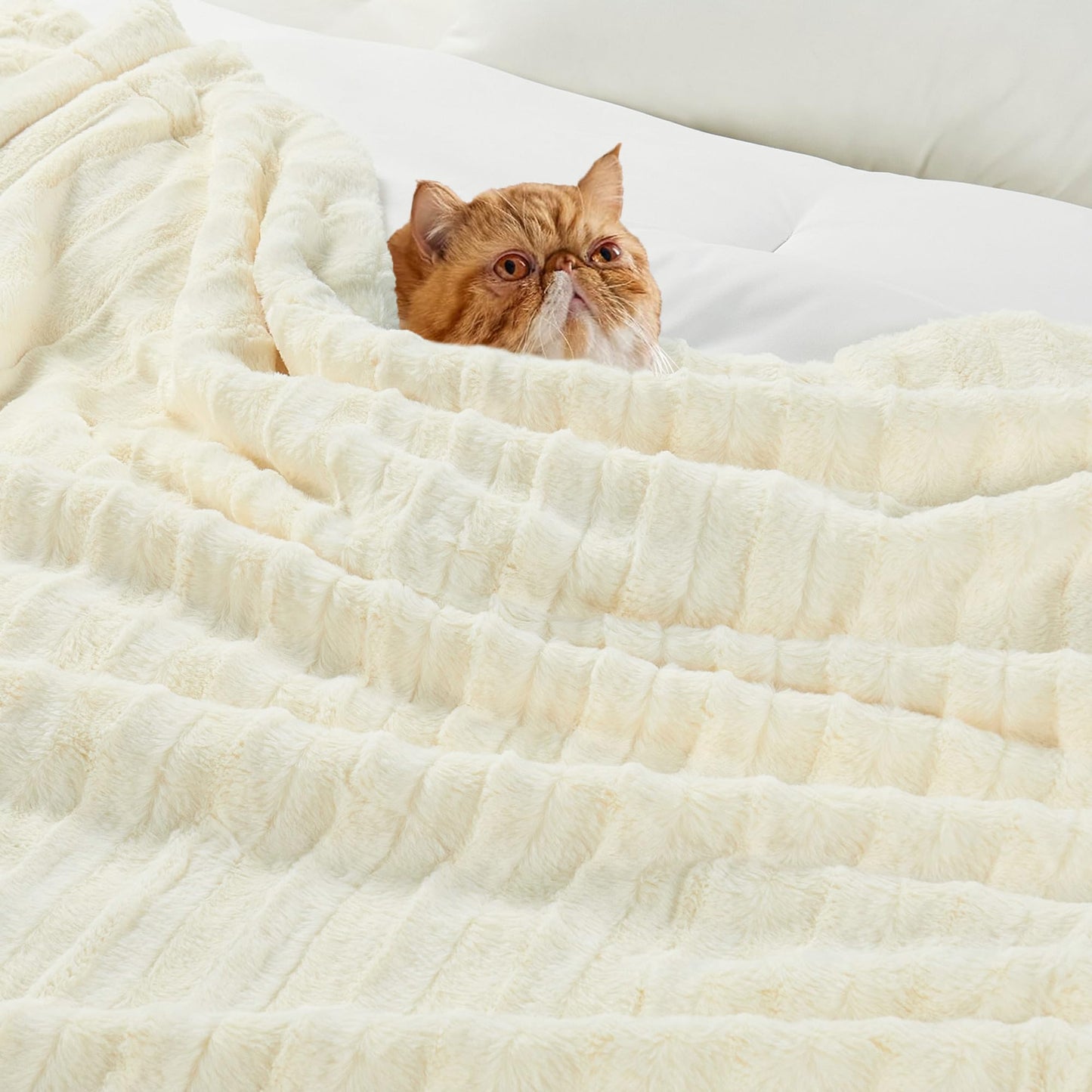 Home Soft Things Derby Double Sided Faux Fur Throw Blanket, Ivory, 50'' x 60'', Super Soft Comfy Fluffy Plush Bed Couch Cover for All Year Round Accent Home Decoration