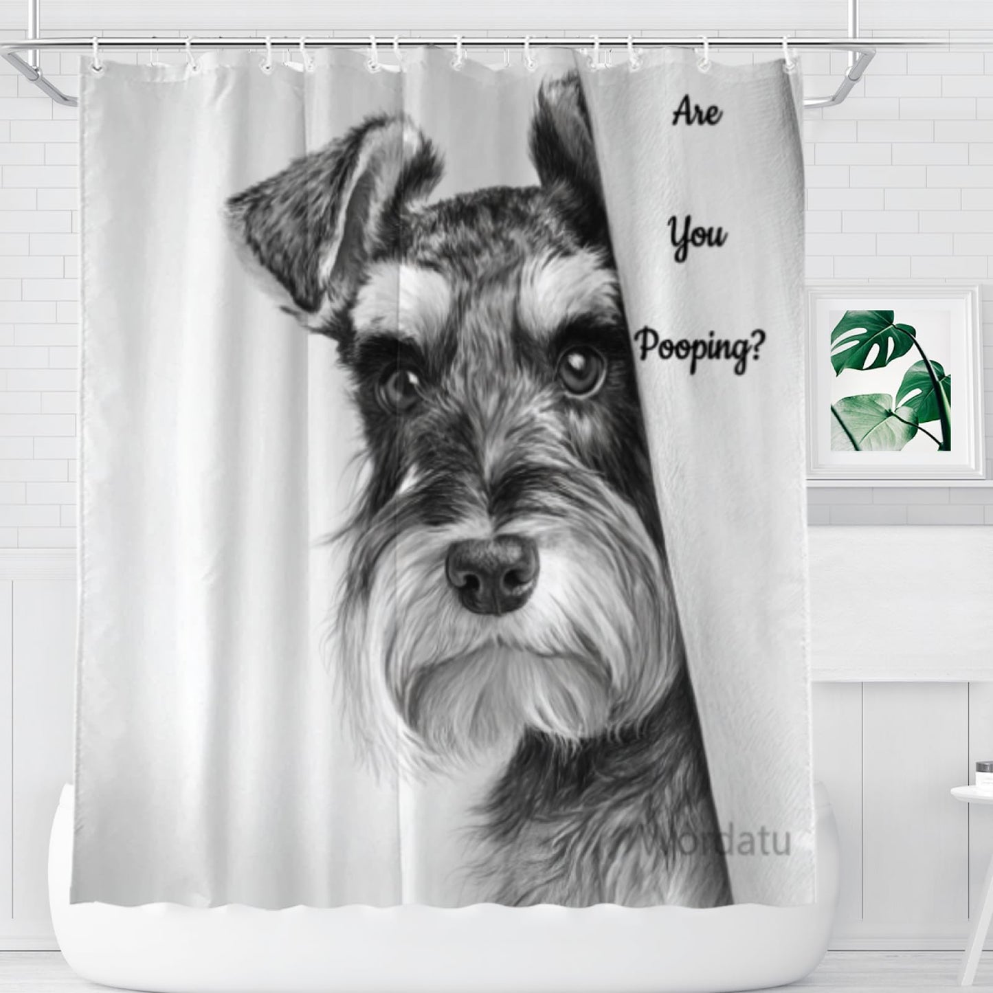 Wordatu Schnauzer Shower Curtain Bathroom Set 72x72 Inches are You Pooping Bath Animal Bath Animal Pet Dog Art Home Decor 12 Hooks