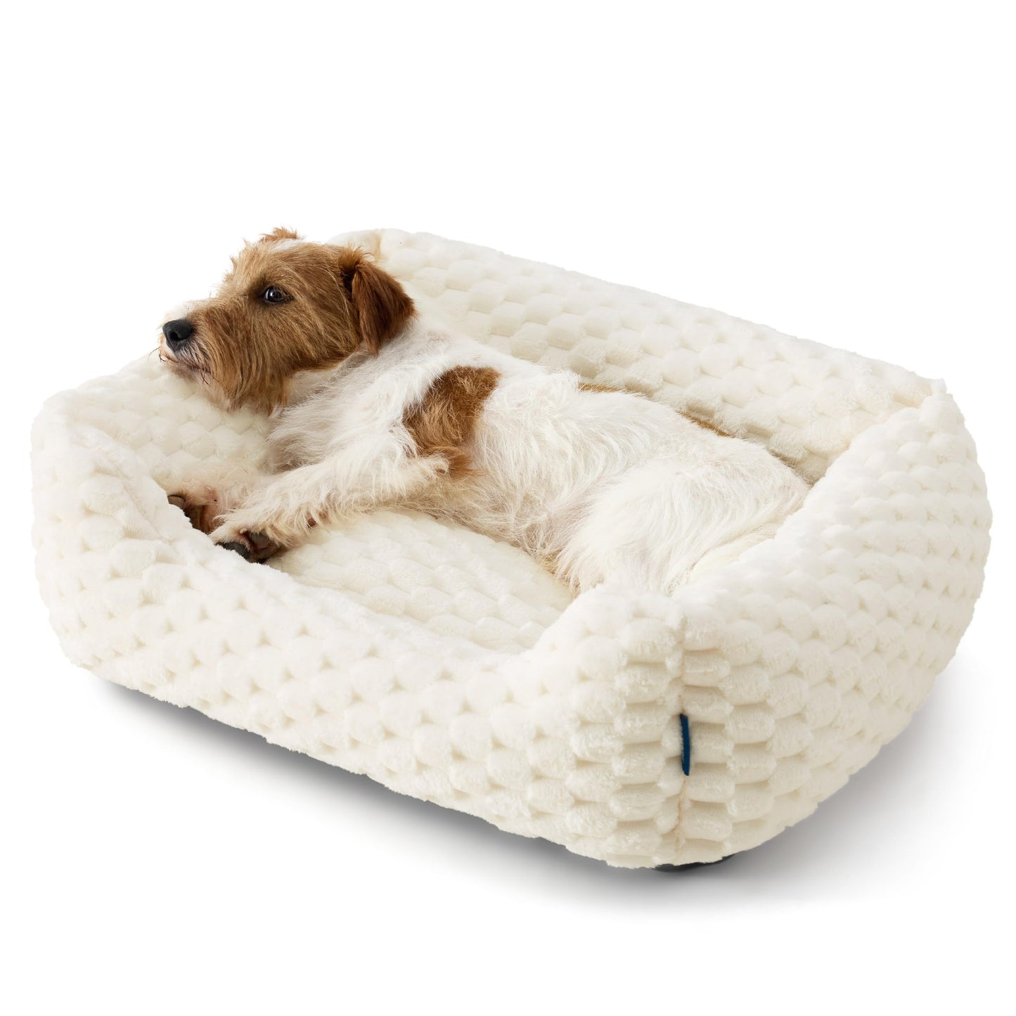 Bedsure Washable Fluffy Cute Dog Bed for Small Medium Dogs, 25 Inch Cream