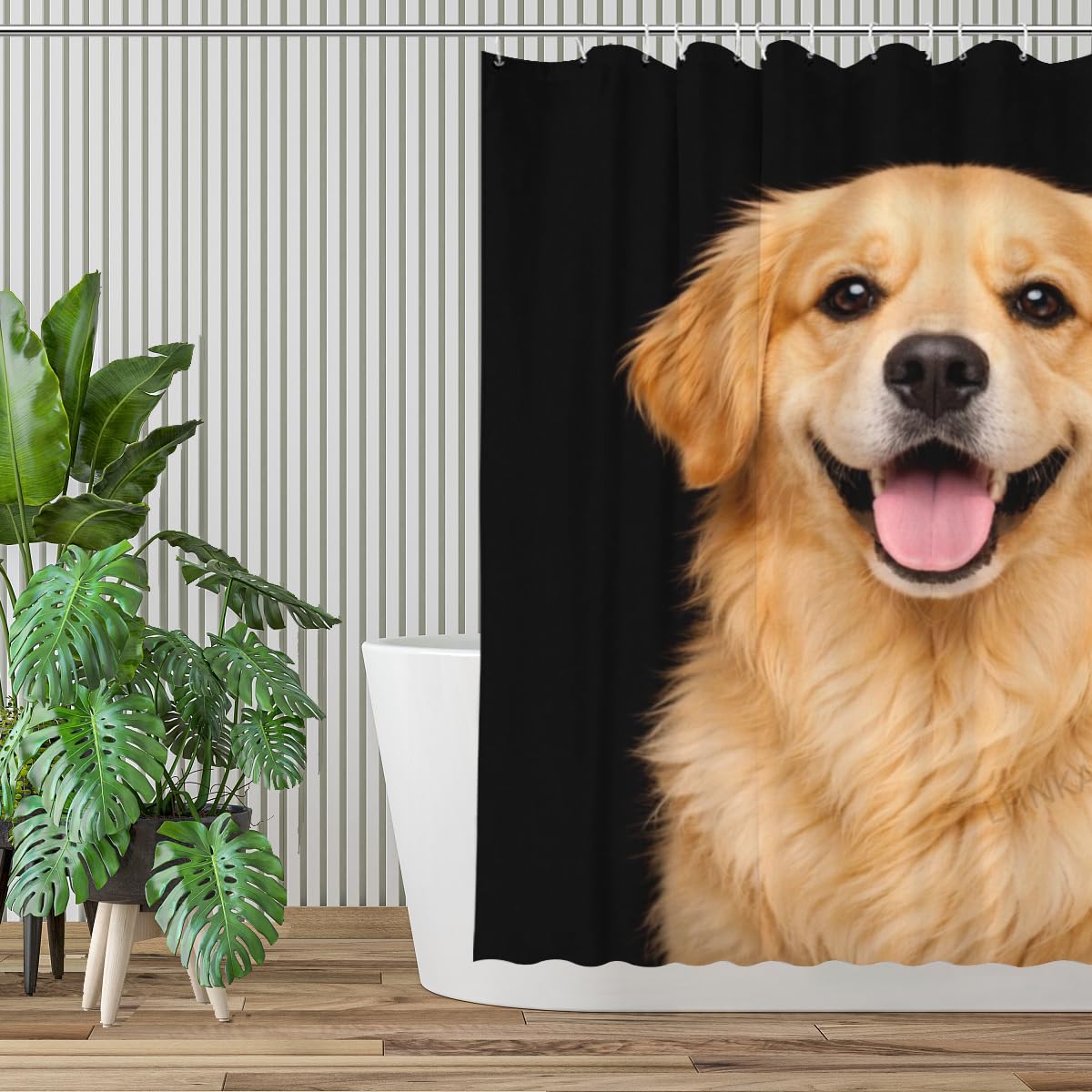 LFINKARTGOGO Golden Retriever Shower Curtain 72x72 Inch with 12 Hooks Funny Farm Animal Bathroom Decor Black Background Waterproof Washable Polyester Bath Curtain