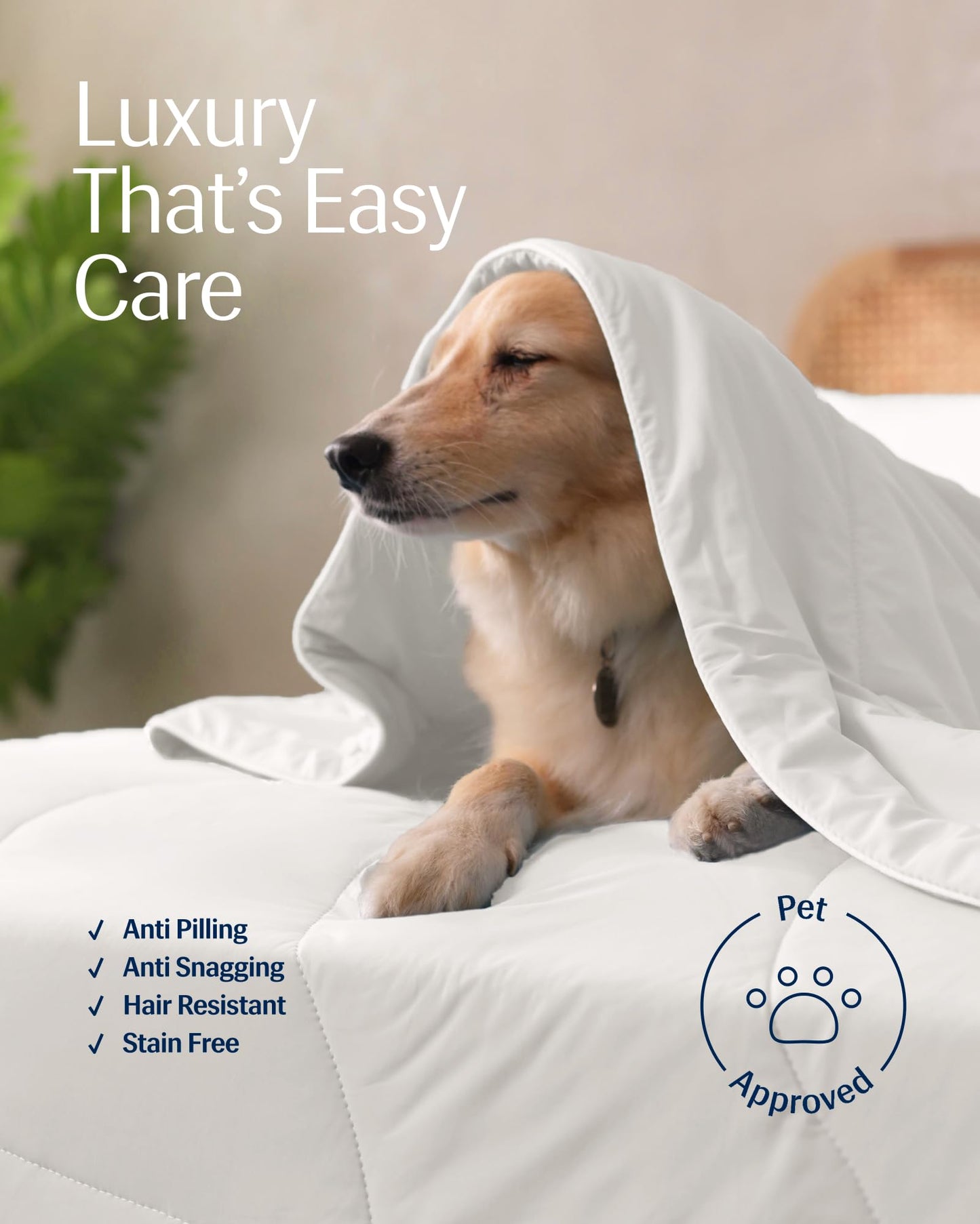 REST® Evercool® Cooling Comforter, Full/Queen, Blanket for Hot Sleepers, All Season Bedding to Keep Cool for Night Sweats, Breathable Lightweight Blanket, 90"x90" Inches, Arctic White