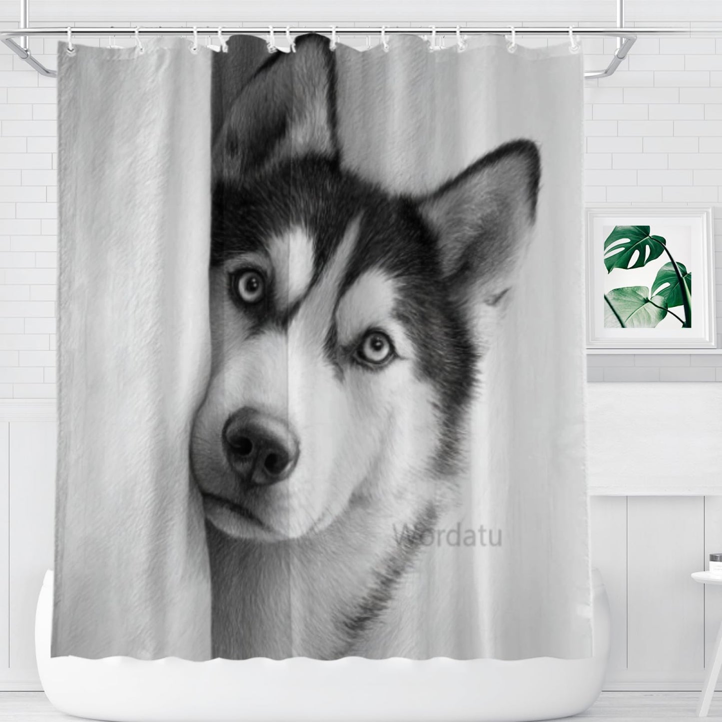 Wordatu Husky Shower Curtain Bathroom Set 72x72 Inches Taking a Bubble Bath Animal Bath Animal Pet Dog Art Home Decor 12 Hooks