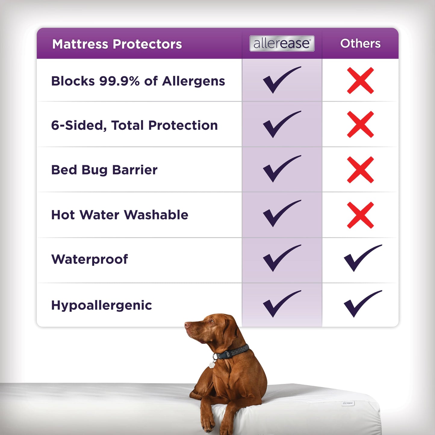 AllerEase Ultimate Allergy Protection and Comfort Zippered Mattress Protector Queen, White