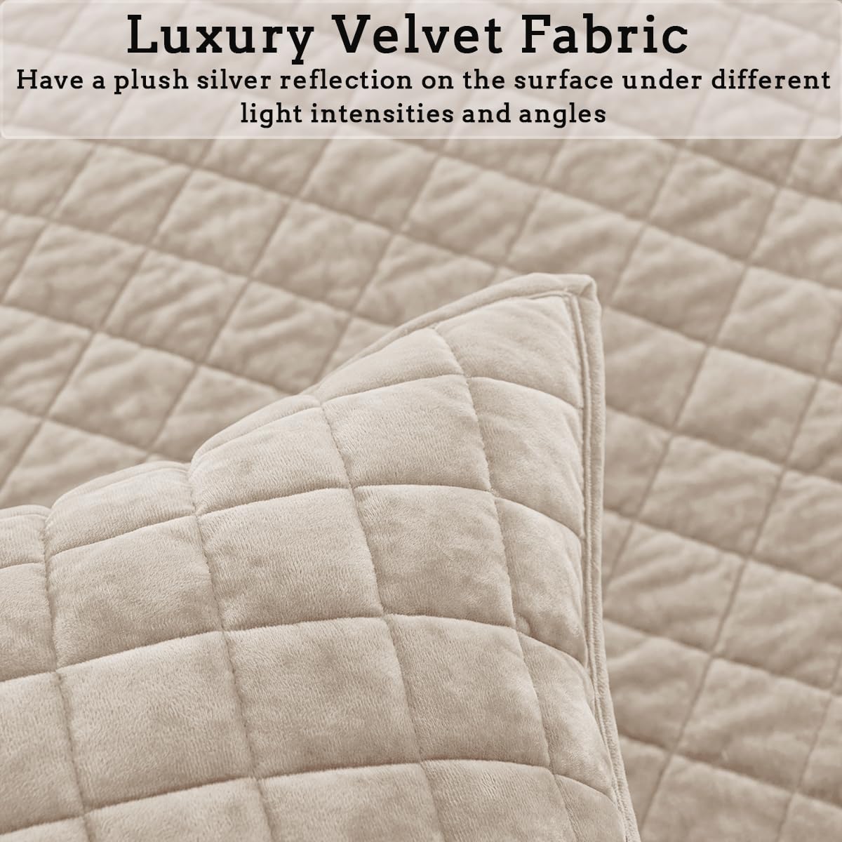 COCOPLOCEUS Quilt Set King Size 98x106 Luxurious Velvet Bedding Sets with 2 Pillow Shams 20x36 3 Pieces Ultra Soft Quilted Bedspread Coverlet Comforter for All Season,Beige