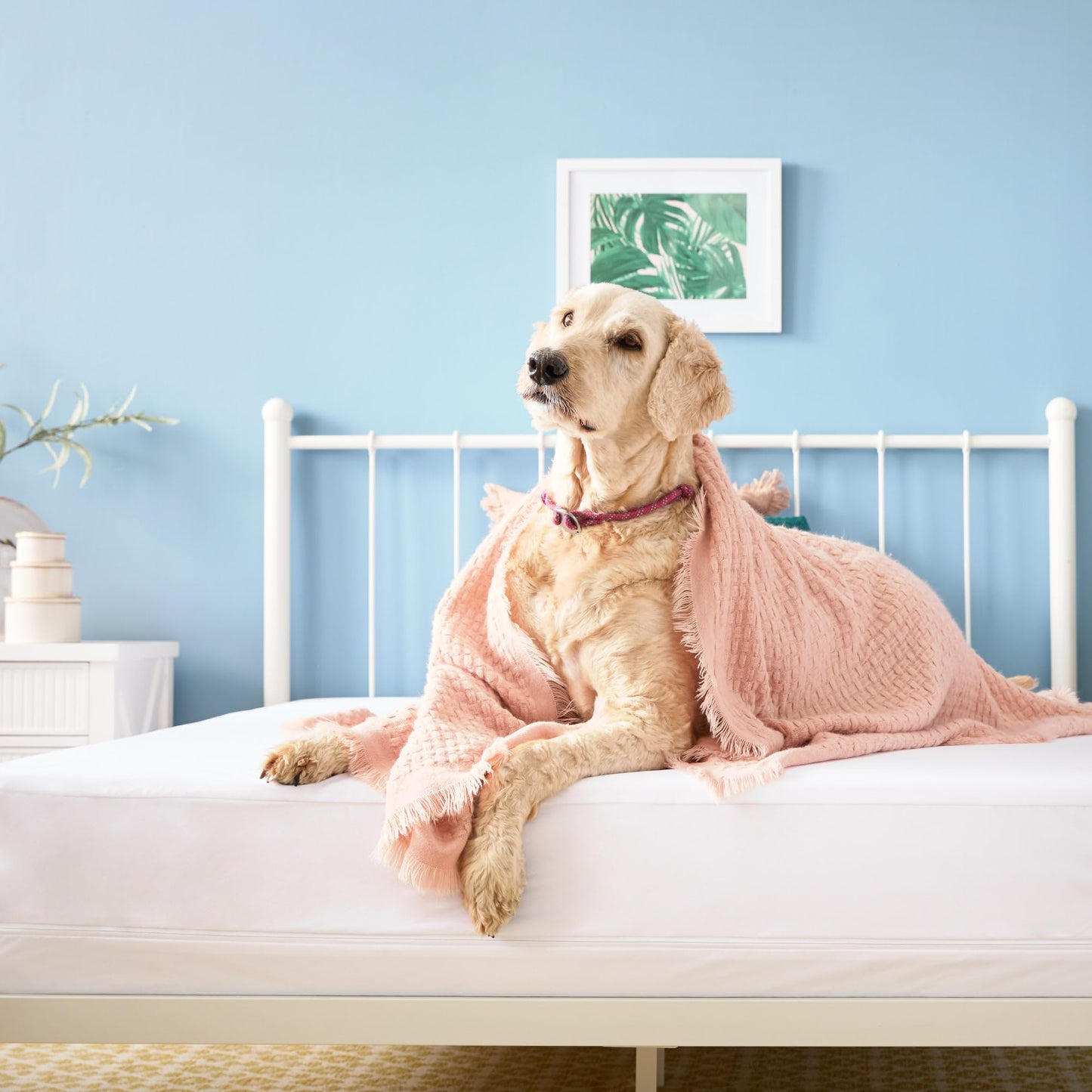 Linenspa Encasement Waterproof Mattress Protector — Zippered 360°, Cal King