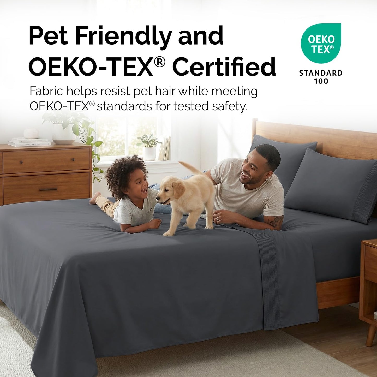 Southshore Fine Living, Inc. Queen Bed Sheets deep Pocket Set with 21" Deep Queen Fitted Sheet, Pillow Cases Standard Set of 2 | Hotel Luxury Quality | Easy Care Microfiber Sheets | Slate