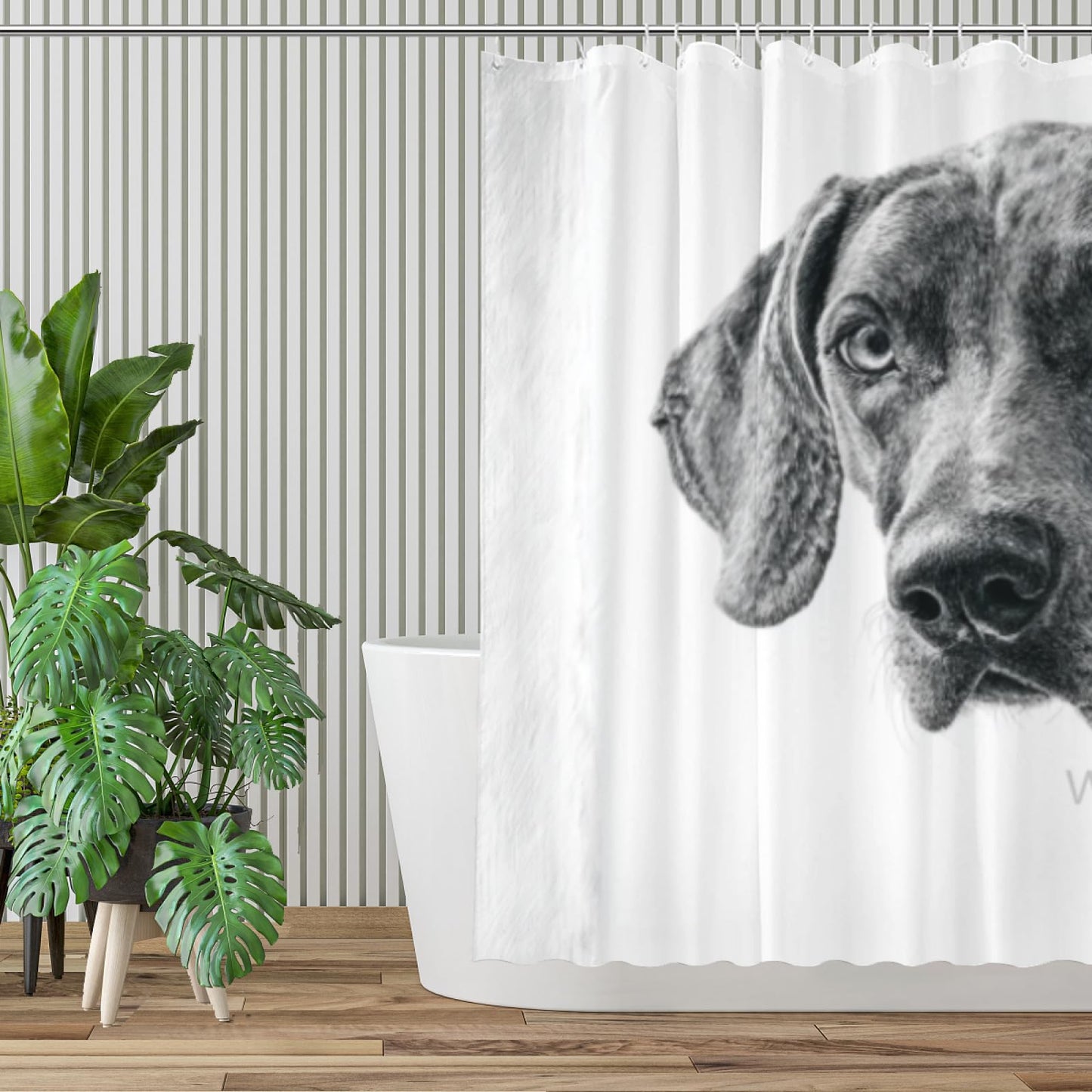 Wordatu Weimaraner Shower Curtain Bathroom Set 72x72 Inches Taking a Bubble Bath Animal Bath Animal Pet Dog Art Home Decor 12 Hooks