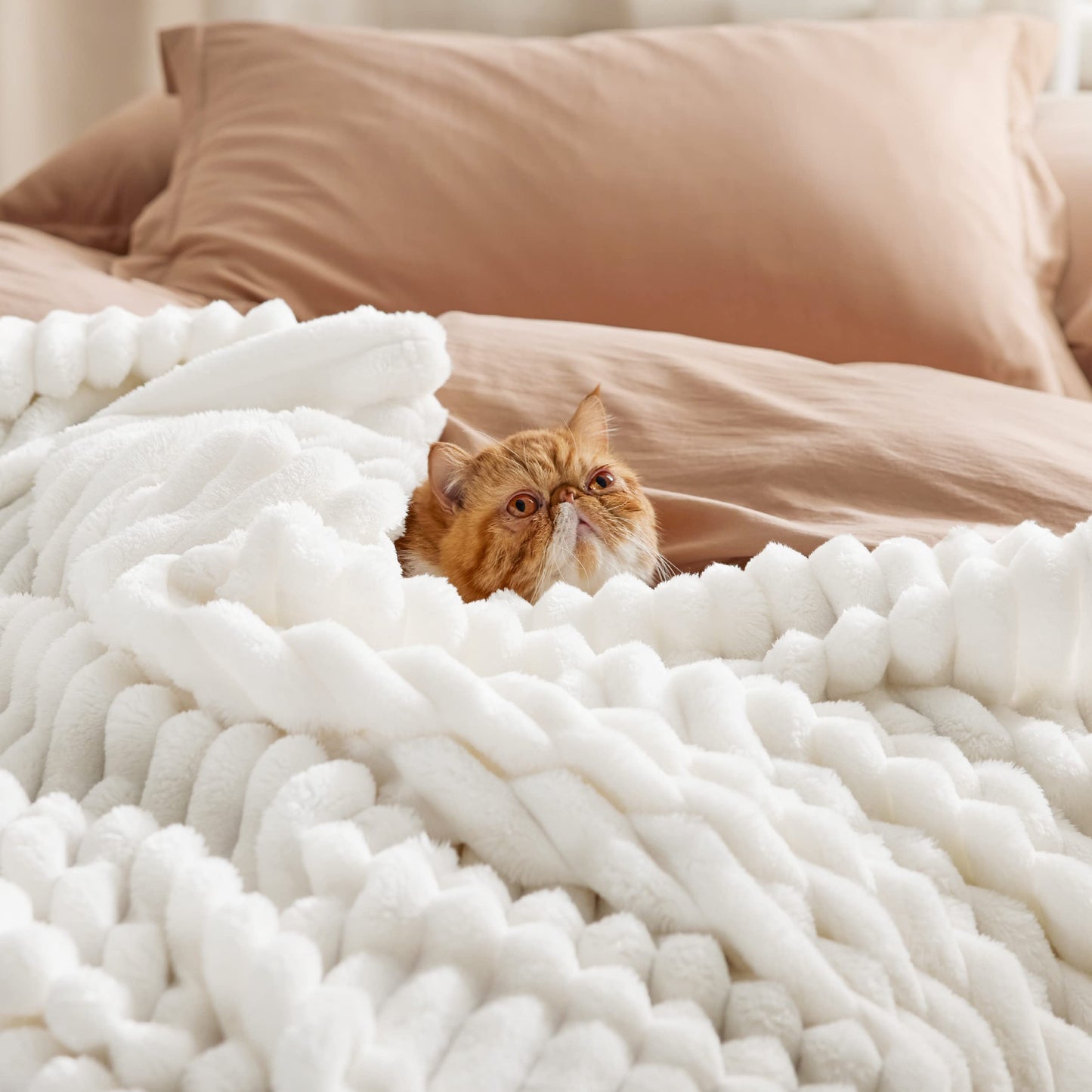 Bedsure Fleece Throw Blanket for Couch White and Sage Green