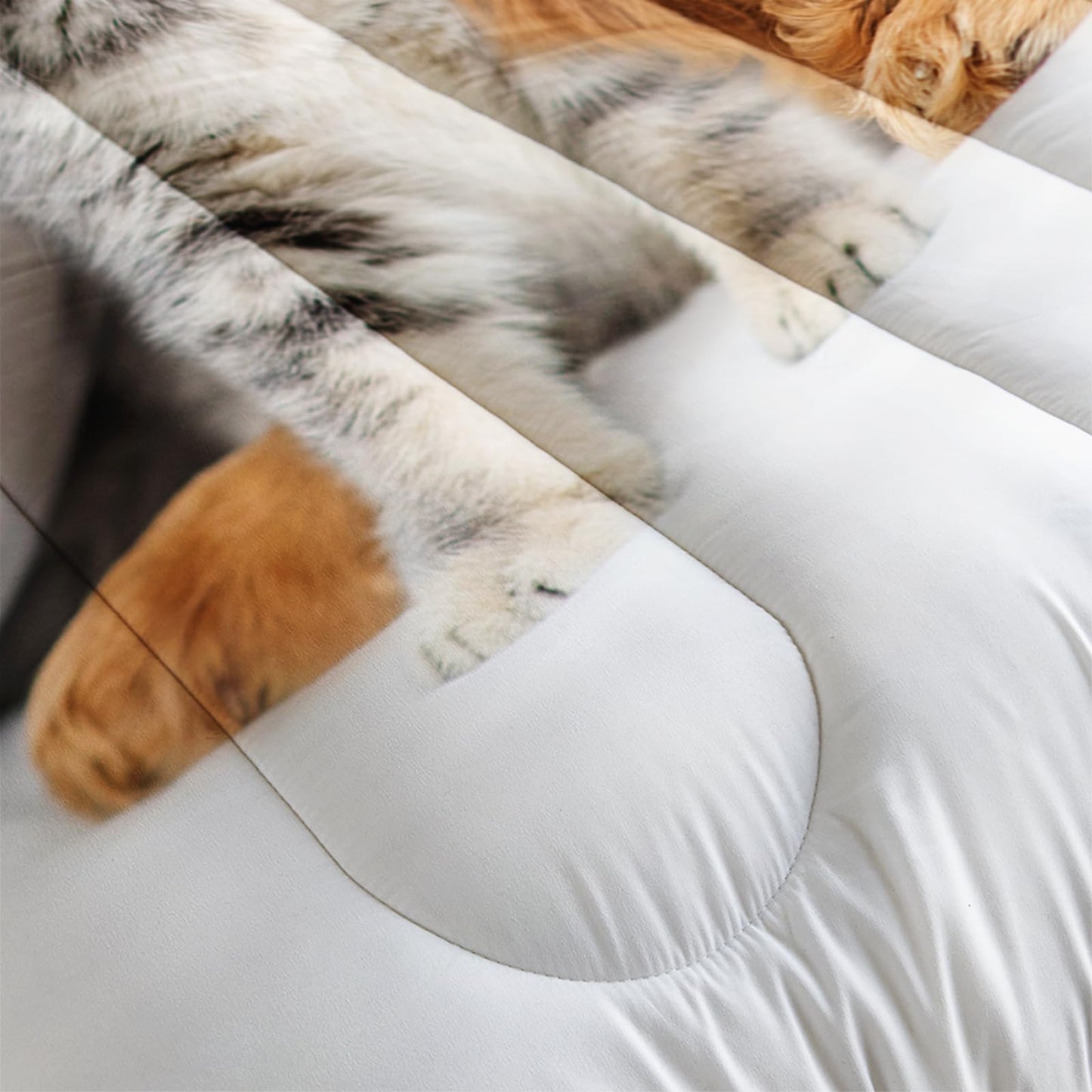 Nttopship Kids Cute 3D Dog Comforter Set 3 Piece Cat and Golden Retriever Bedding Set Twin Size for Kids Cute Pet Bedding Bed in A Bag Bed,Pet Room Decor Comforter with 2 Pillowcases