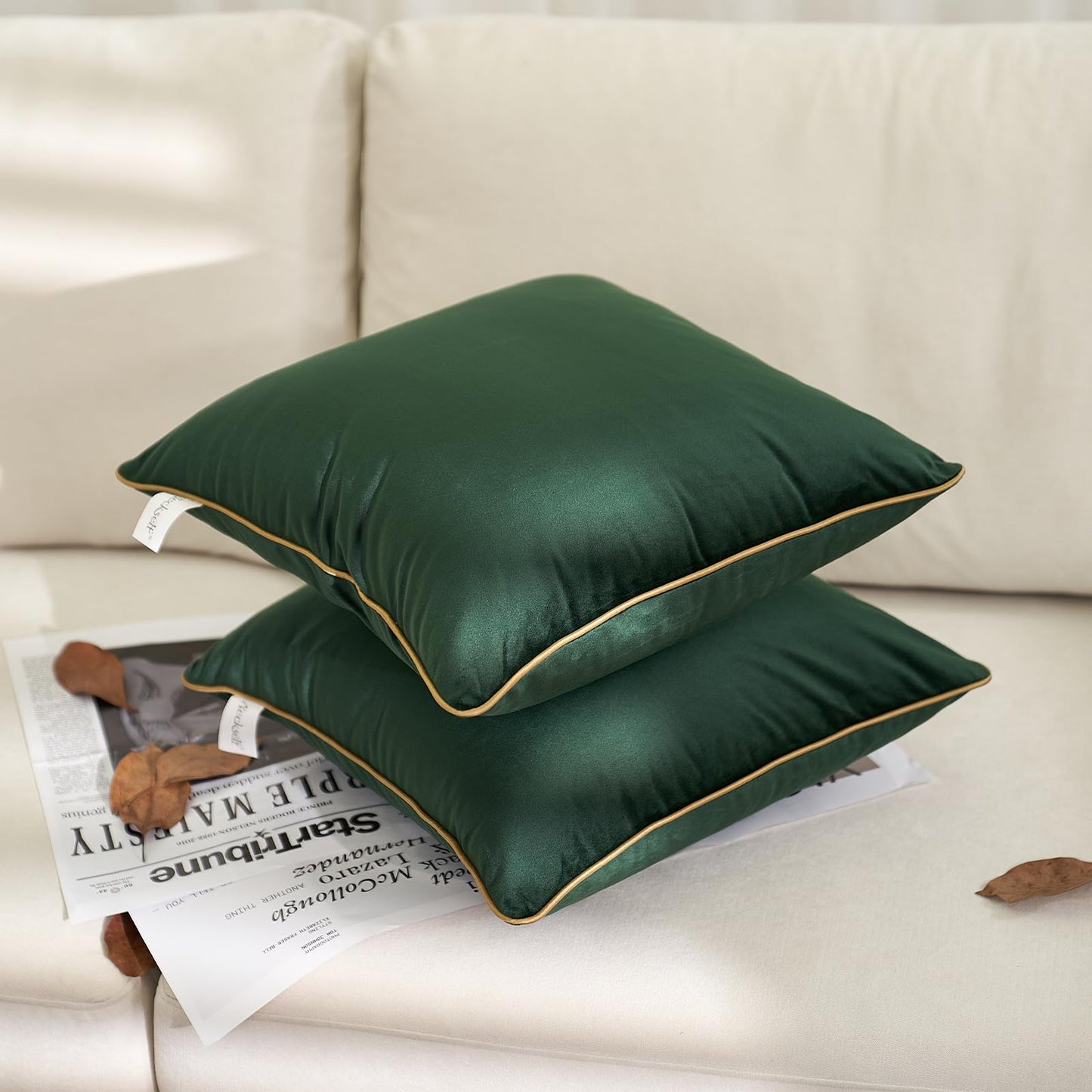 Aeckself Pack of 2 Green Velvet Pillow Covers 24 x 24 Inch, Large Modern Luxury Decorative Pillowcase with Gold Trim Edge, Comfortable Soft Solid Cushion Case for Couch Bedroom Living Room