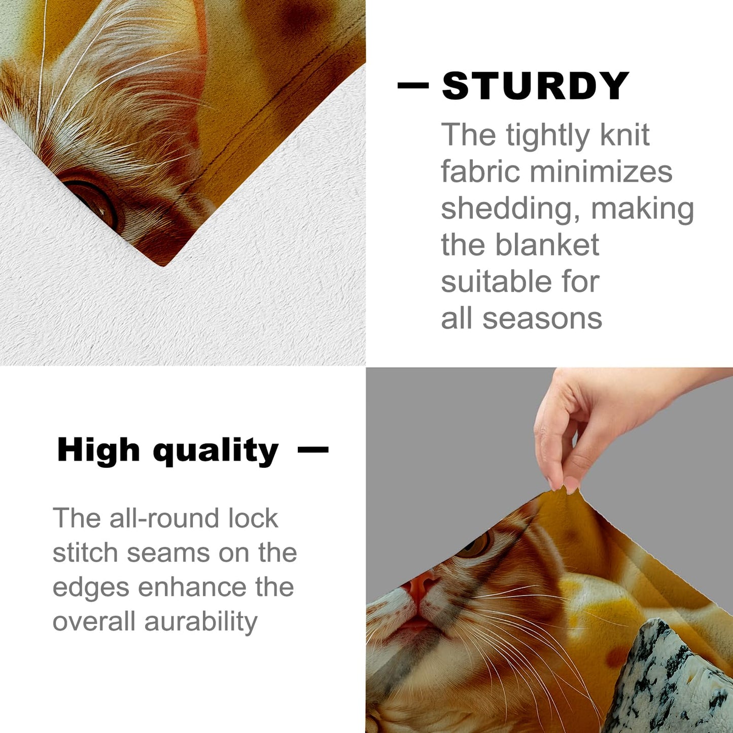 cromcu Adorable Cheese Cat Flannel Throw Blanket 50x60 Inch, Cute Orange Kitten Throws, Whimsical Food Humor Fleece Blankets for Couch, Bed, Sofa, Travel, Pet Lovers Novelty Gifts Decor