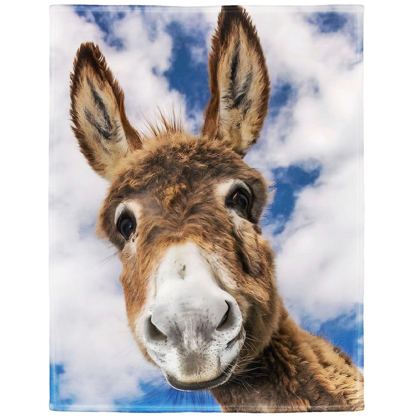 HommomH 50"x60" Donkey Blanket Animal Selfie Blankets Soft Warm Plush Fleece Throw for Couch Sofa Bed