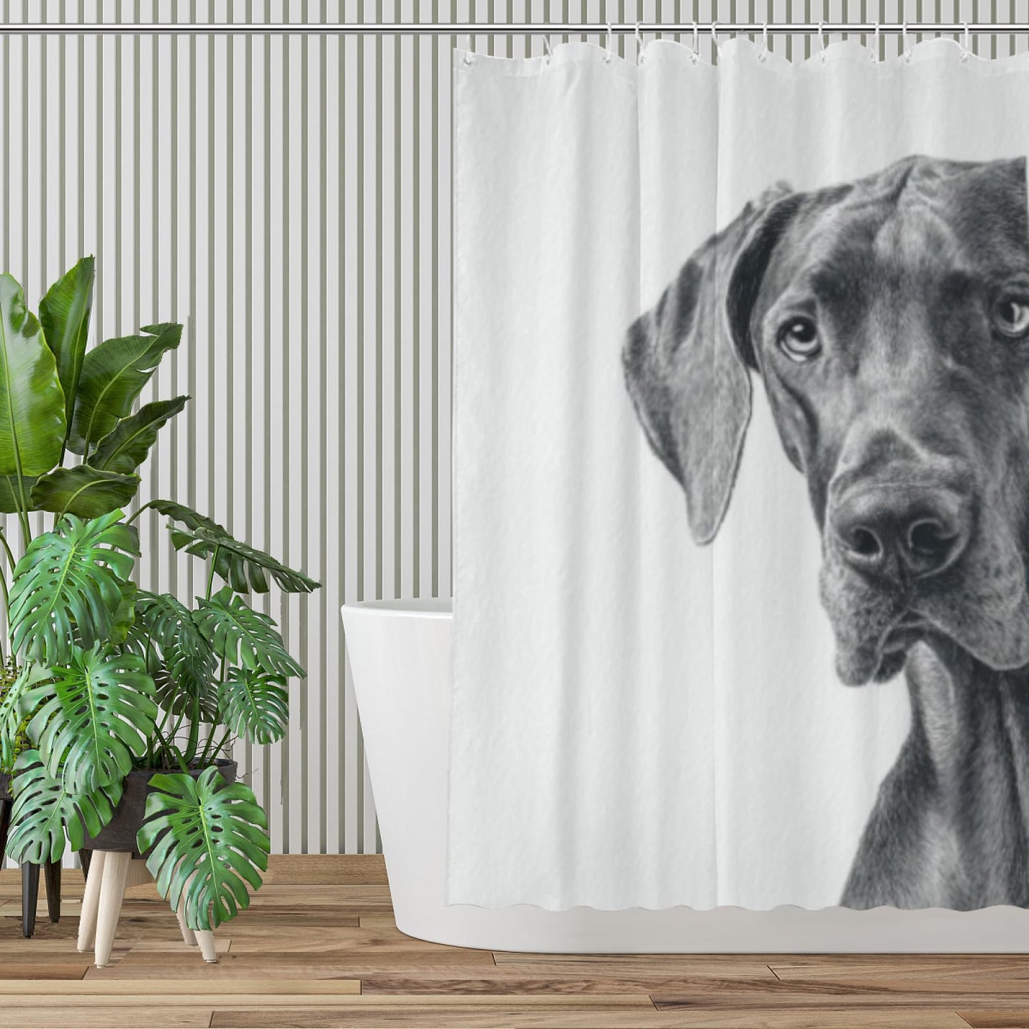 Wordatu Great Dane Shower Curtain Bathroom Set 72x72 Inches Taking a Bubble Bath Animal Bath Animal Pet Dog Art Home Decor 12 Hooks
