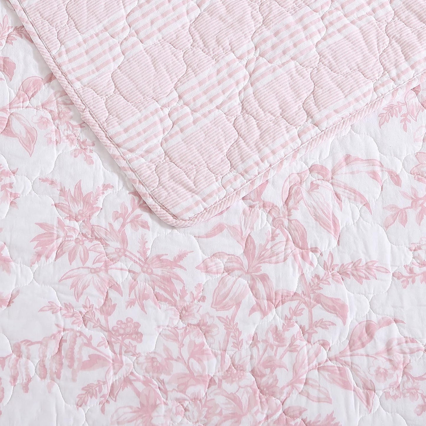 Laura Ashley - Queen Quilt Set, 100% Cotton Cover with Cotton Blend Fill, Prewashed for Softness, Reversible Floral Bedding with Matching Shams (Pink)