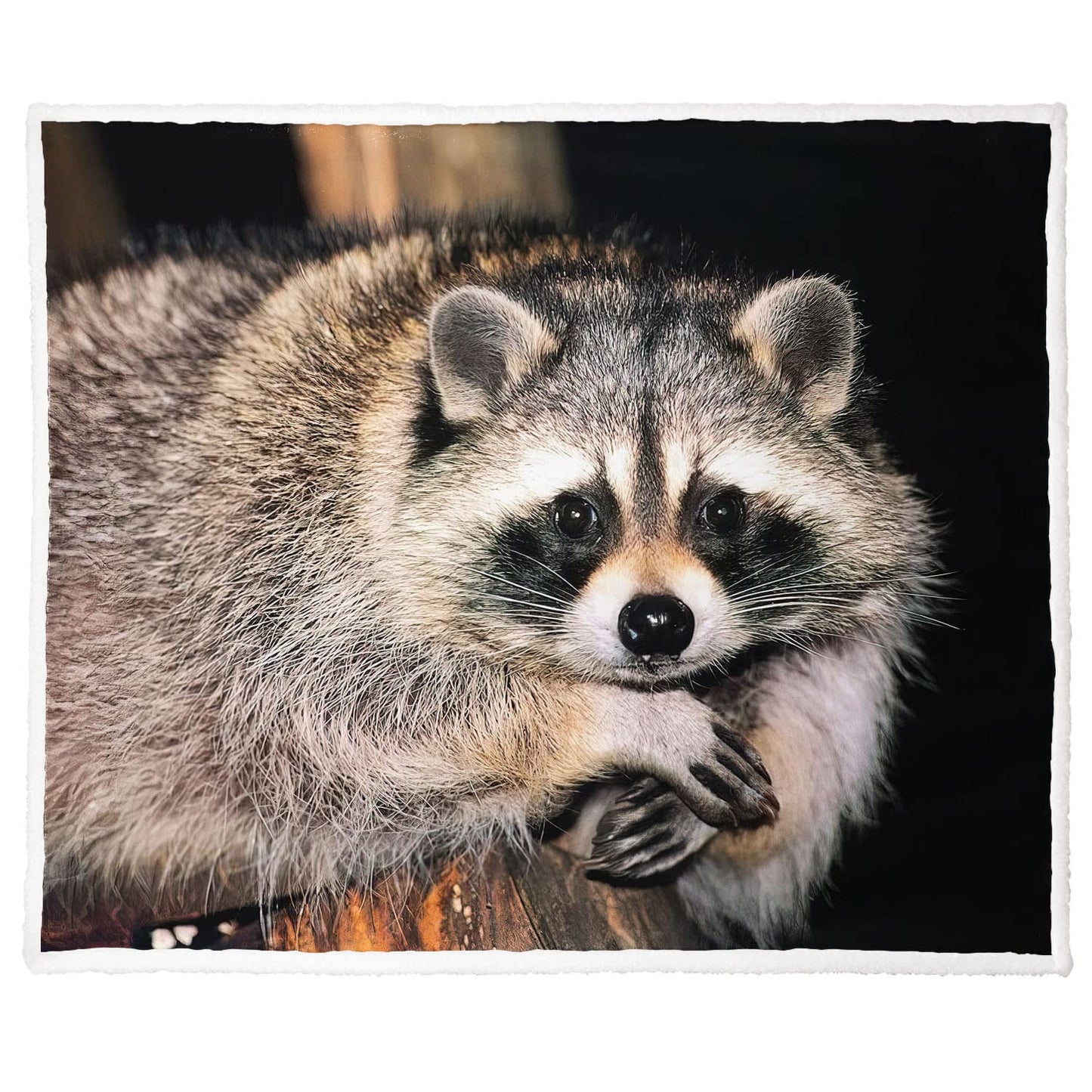 XSMEI Raccoon Sherpa Blanket, Animal Print Fleece Throw Blankets for Couch Sofa Bed, Super Soft Warm and Lightweight, 50" x 60"