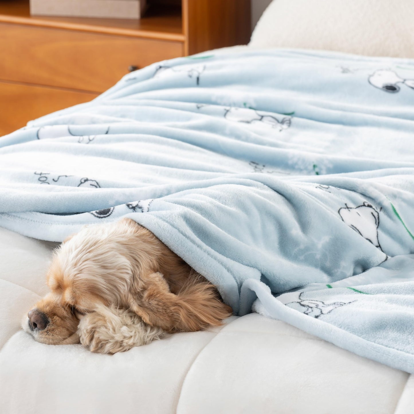 Berkshire Blanket Peanuts® VelvetLoft® Cute Character Snoopy Plush Throw Blanket,Peanuts Snoopy Make A Wish Spring Blue,Throw 55 in x 70 in (Official Peanuts® Product)