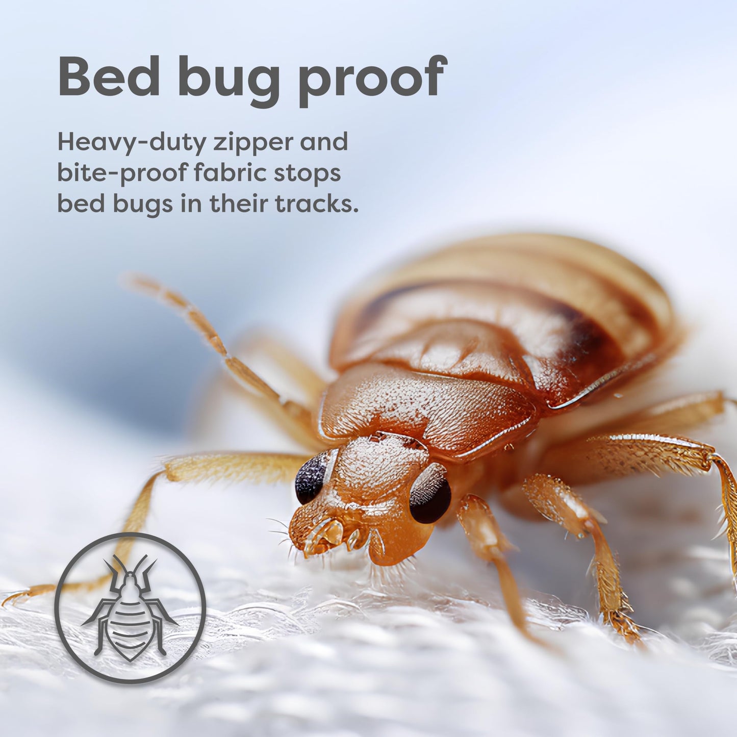 HOSPITOLOGY PRODUCTS Mattress Encasement - Zippered Bed Bug Dust Mite Proof Hypoallergenic - Sleep Defense System - Twin XL - Waterproof - Stretchable - Standard 12" Depth - 38" W x 80" L