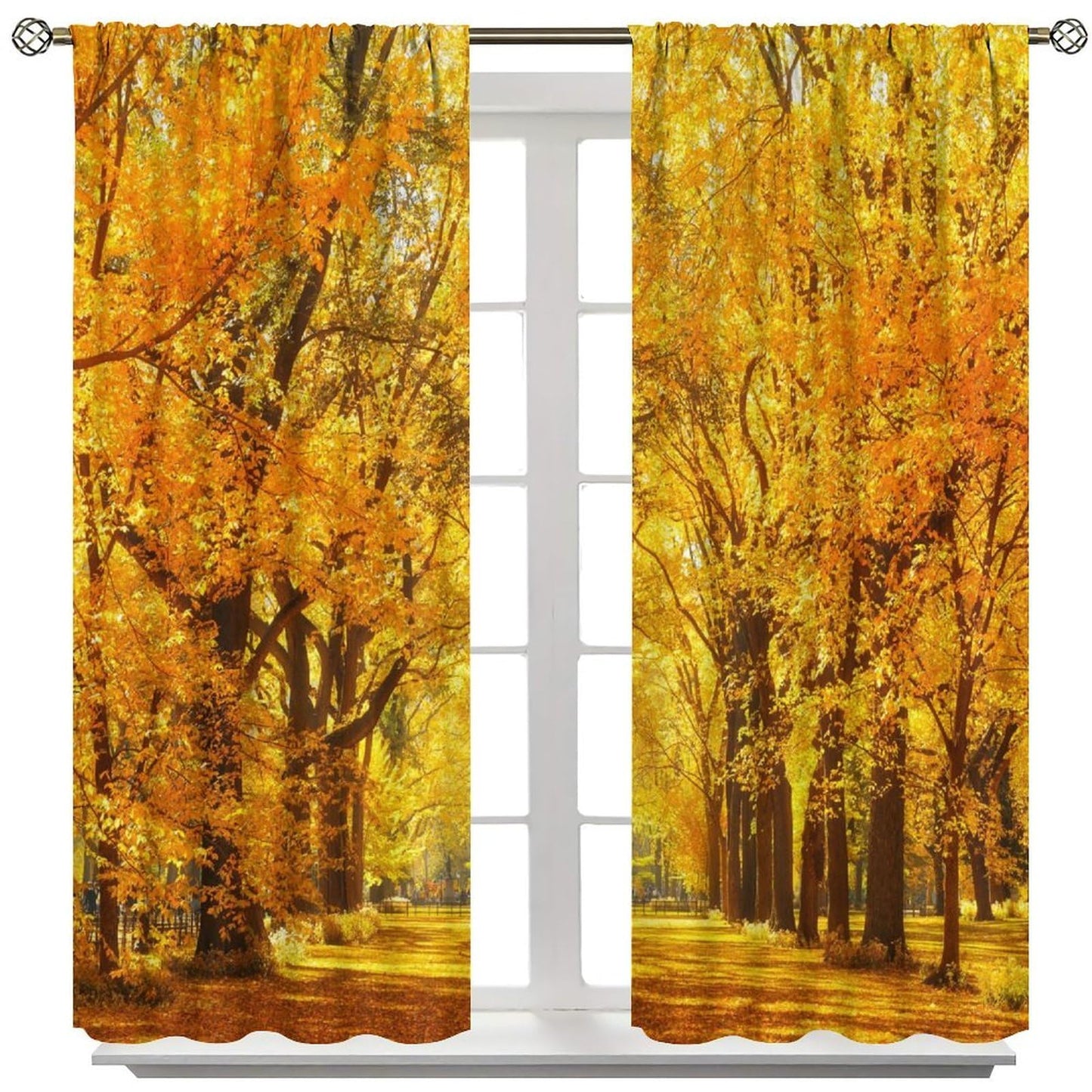 Nanacur Fall Forest Landscape Curtains, Fall Maple Leaves Tree Nature Autumn Season Rod Pocket Window Treatment for Living Bedroom Office Cafe Kitchen Drapes 41" W X 45" L (No Blackout)