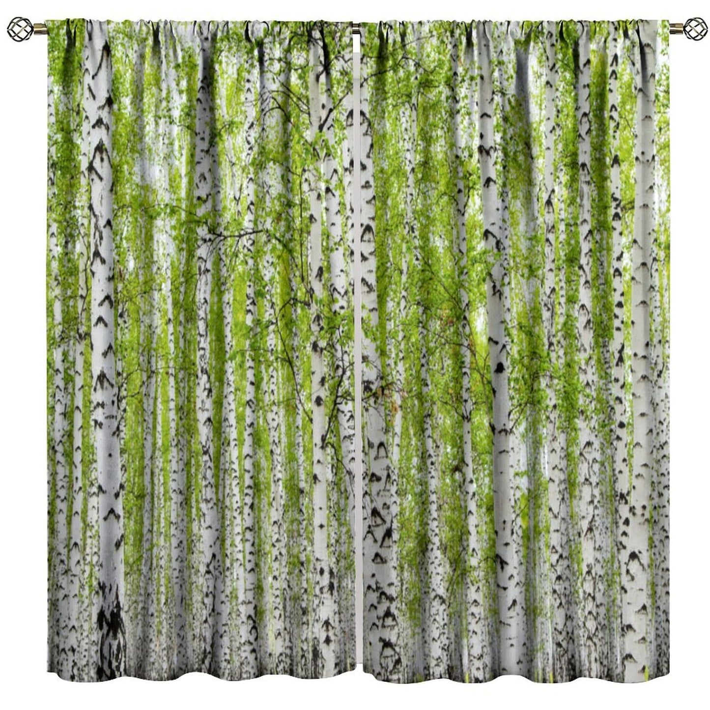 GoDazzling Rustic Farmhouse Birch Trees Curtains, Maple Leaves Forest Grove Wood Nature Spring Summer Scenery Window Drapes, for Living Room Bedroom 41" W X 45" L (No Blackout)