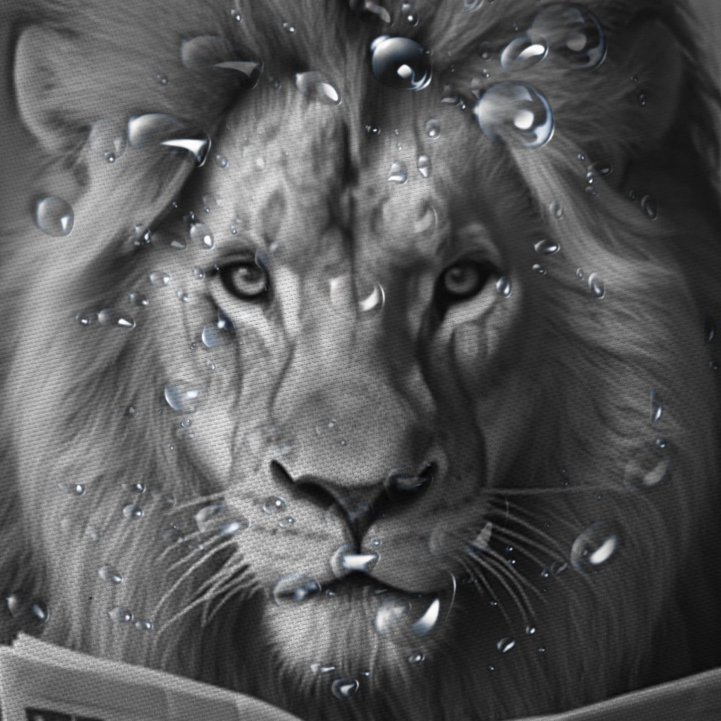JAWO Funny Shower Curtain Farmhouse Cool Lion Shower Curtains for Bathroom Grey Humor Animal Reading on Toilet Curtains, Western Country Large Cat Bathroom Curtain Polyester Fabric Set Hooks 72X72