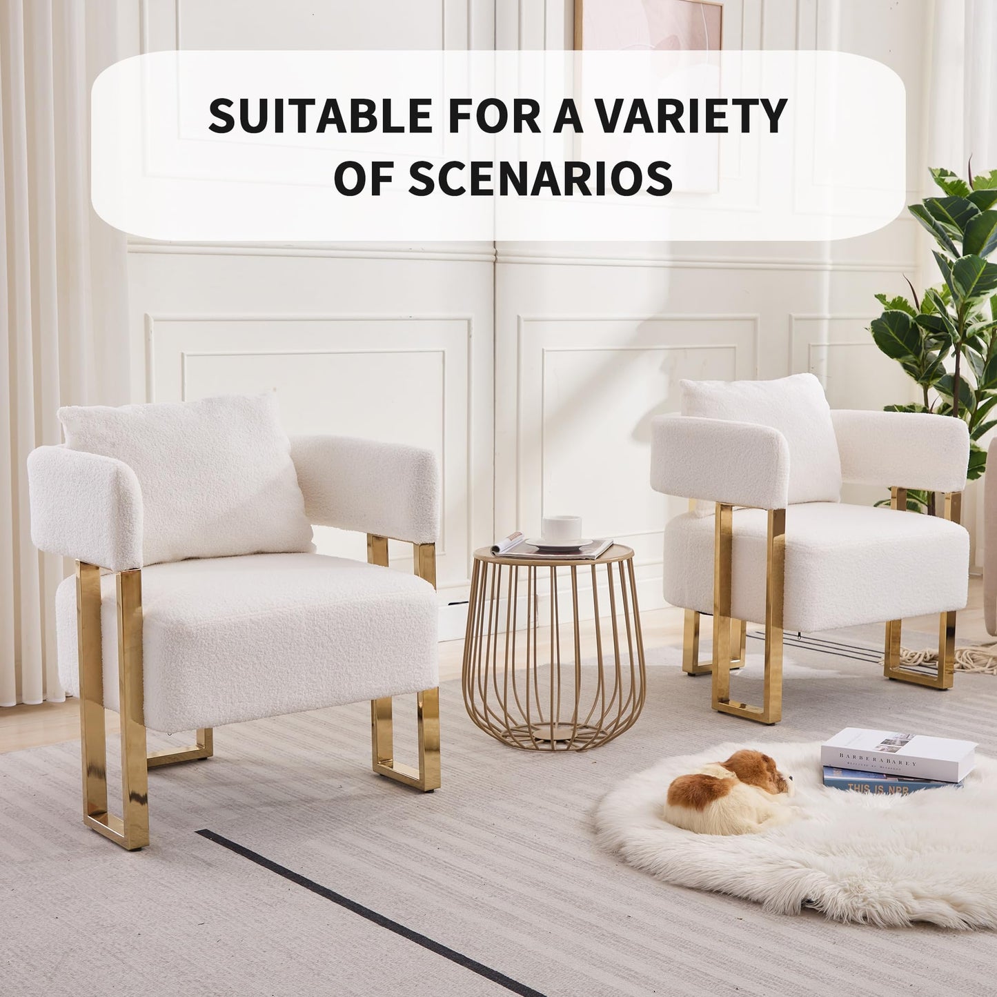 YITAI Modern Accent Chairs no Wheels, Living Room Side Chairs Set of 2 with Golden Metal Legs, Barrel Soft Teddyt Upholstered Reading Armchairs for OfficeReception RoomBedroomLounge,White