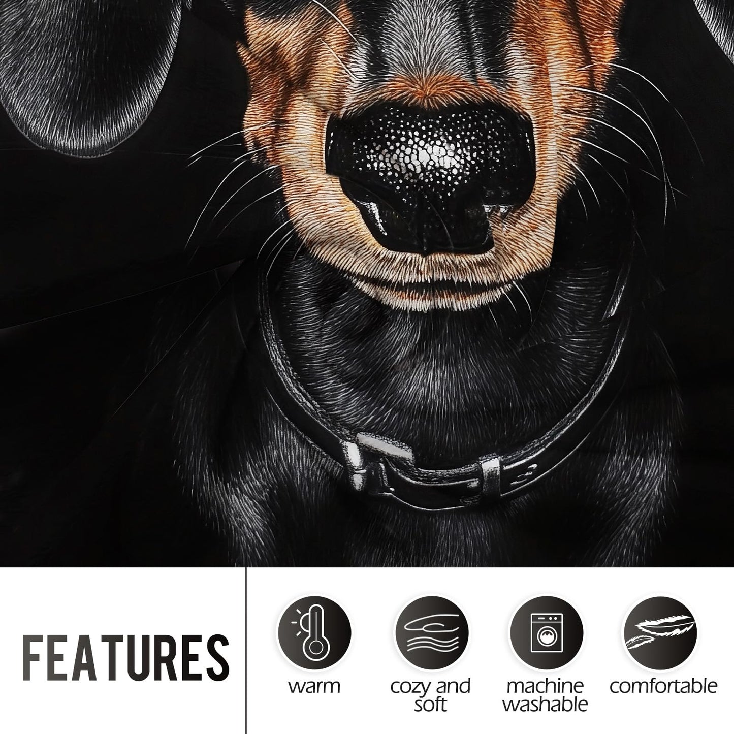 Dachshund Gifts for Women, 60"x50" Black Dachshund Blanket Gifts for Kids, Weiner Dog Gifts for Women Dachshunds Lovers Birthday, Soft Flannel Weiner Dog Decor Throw Blanket for Couch