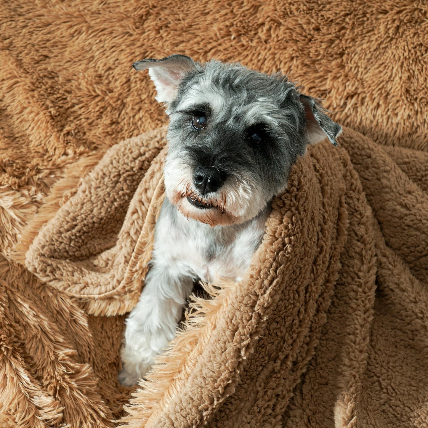 PHF Luxury Fuzzy Faux Fur Twin Blanket, Soft Shaggy Plush Comfy Blanket, Warm Thick Fluffy for Couch, Bed, Chair, Sofa, Furry Elegant Throw for Home Decor, Taupe, 60" x 80"