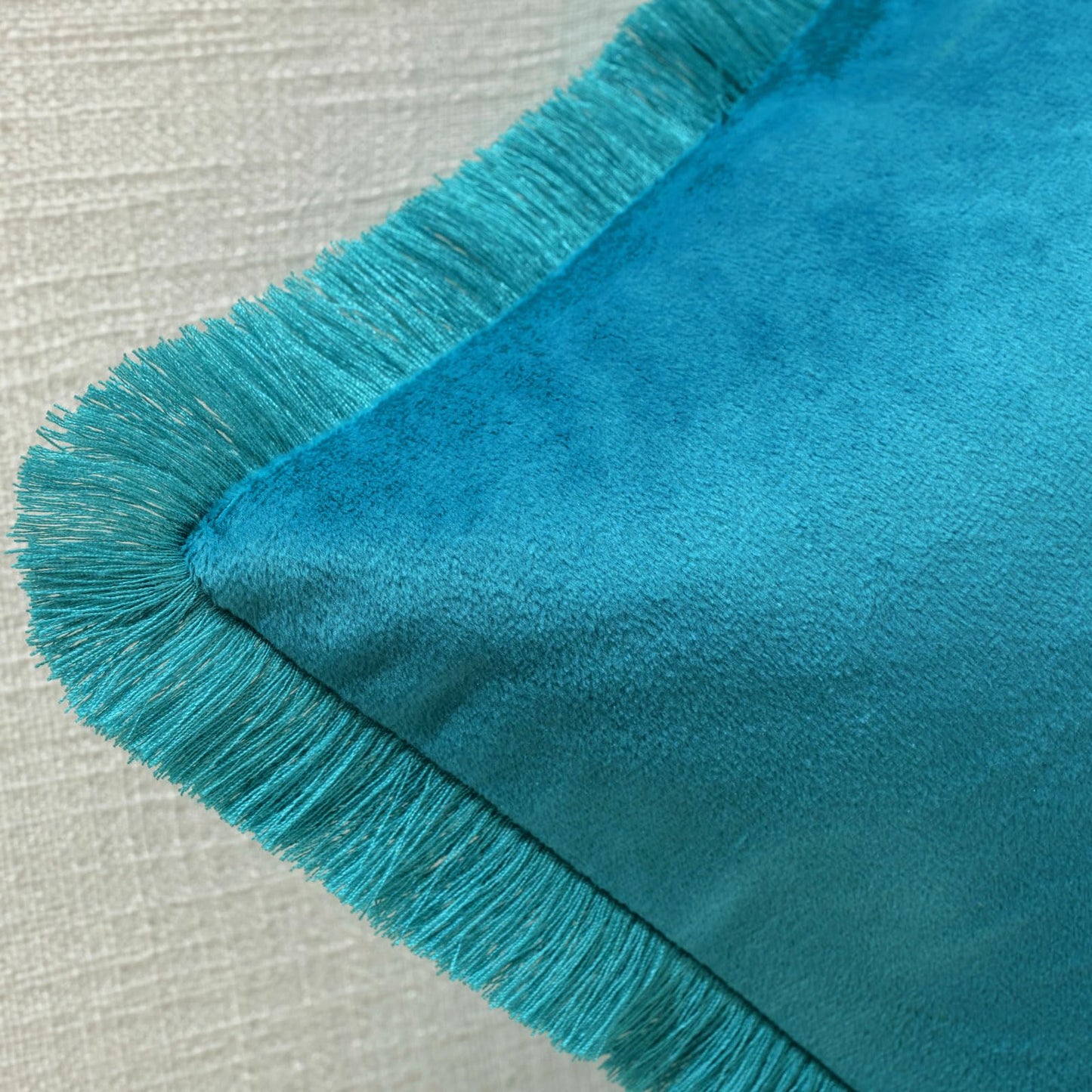 FUTEI Teal Velvet Decorative Throw Pillow Covers 18x18 Set of 2,Soft Cozy Edge with Tassels Cushion Case,Boho Modern Home Decor for Couch Bed Living Room