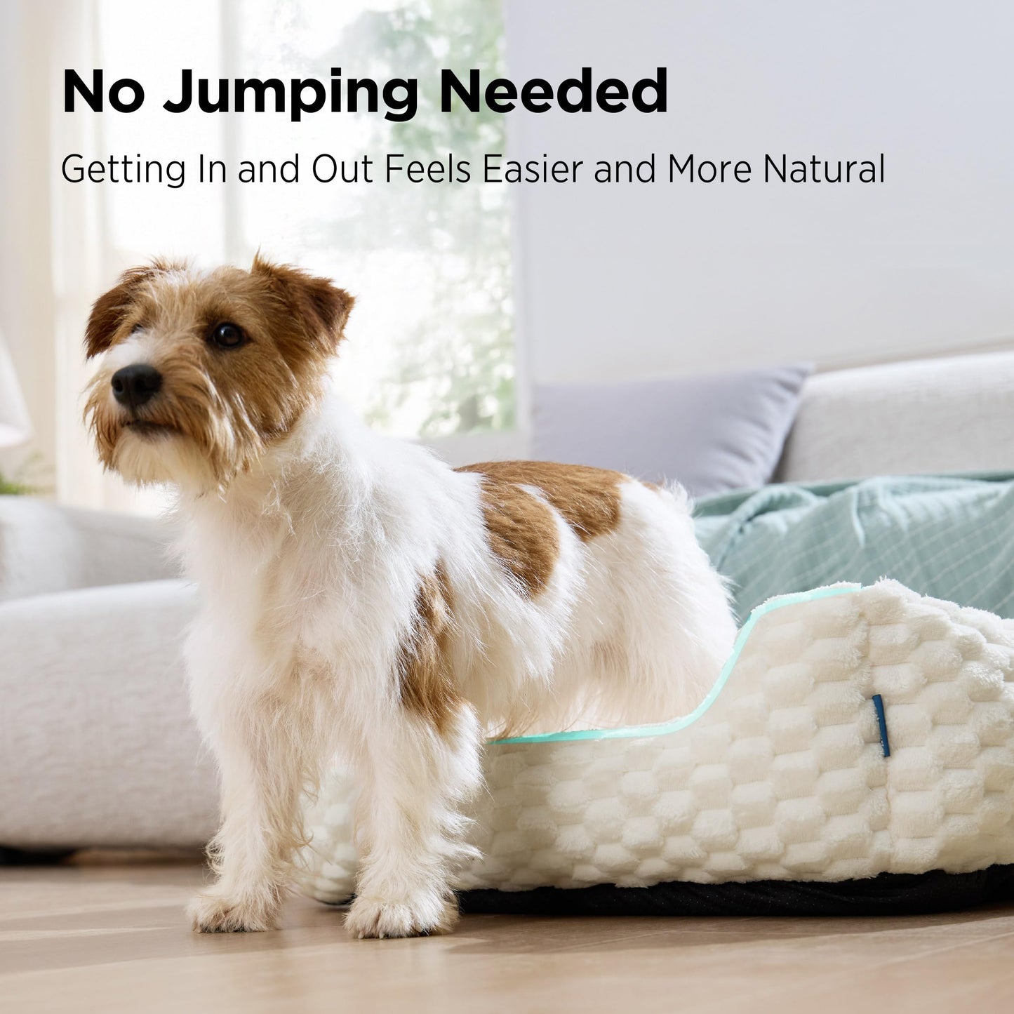 Bedsure Washable Fluffy Cute Dog Bed for Small Medium Dogs, 25 Inch Cream