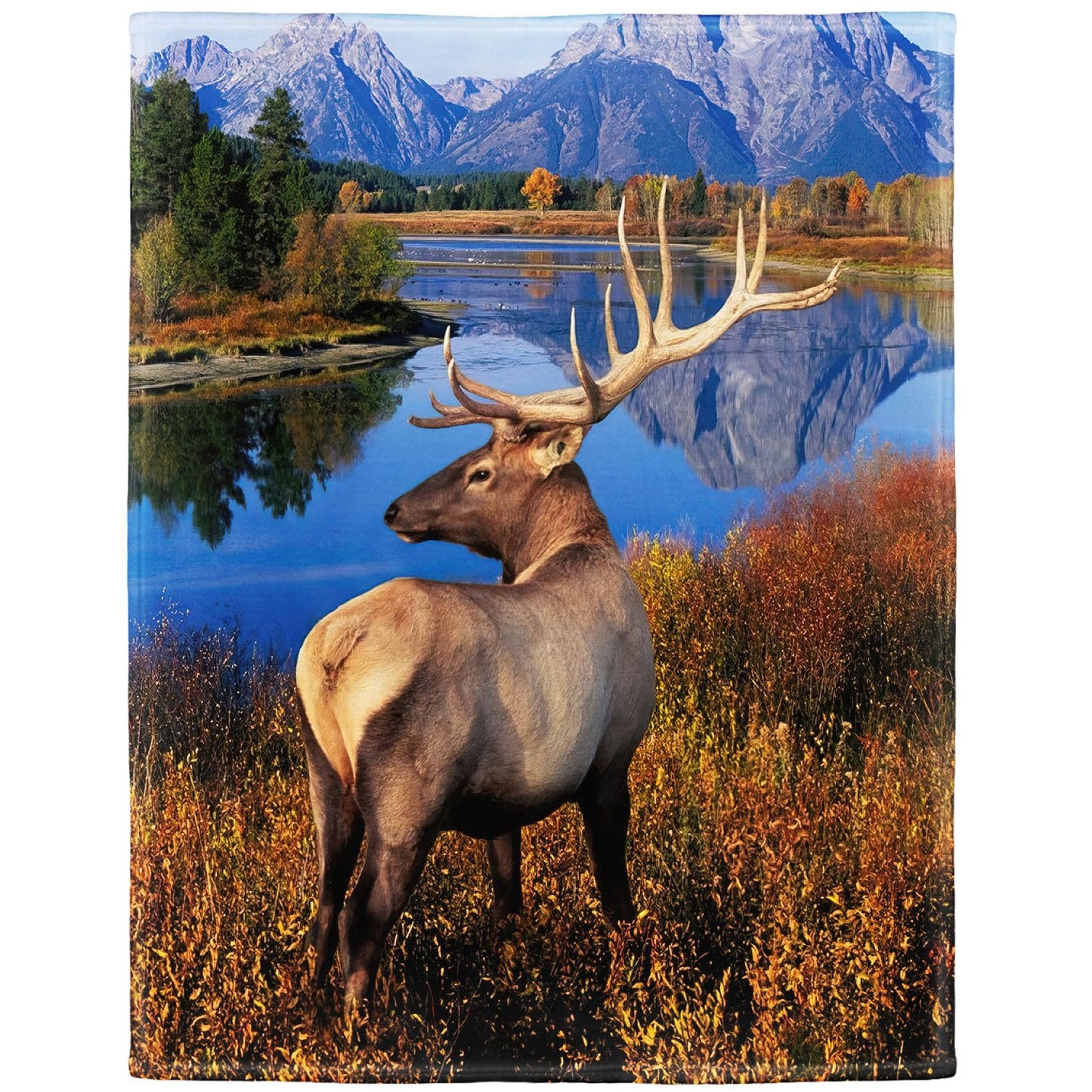 Rstick Elk Blanket Forest Grass Deer Fleece Blanket Soft Fuzzy Plush Throw Blankets for Couch Bed 50"x60"
