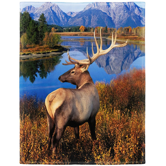 Rstick Elk Blanket Forest Grass Deer Fleece Blanket Soft Fuzzy Plush Throw Blankets for Couch Bed 50"x60"