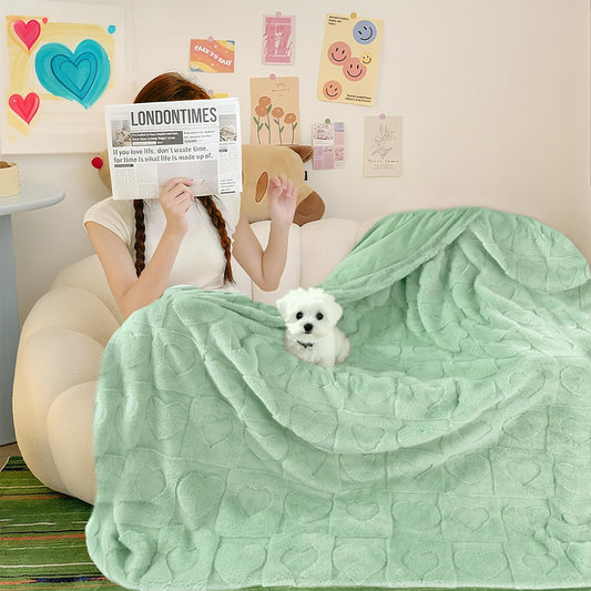 Bcareself Faux Fur Throw Blanket Ultra Soft Plush Fluffy Blanket for Couch, Bed, Sofa - Lightweight Yet Warm Winter Blanket for Women Men - Machine Washable Valentine Gifts 60x80 Inches Sage Green