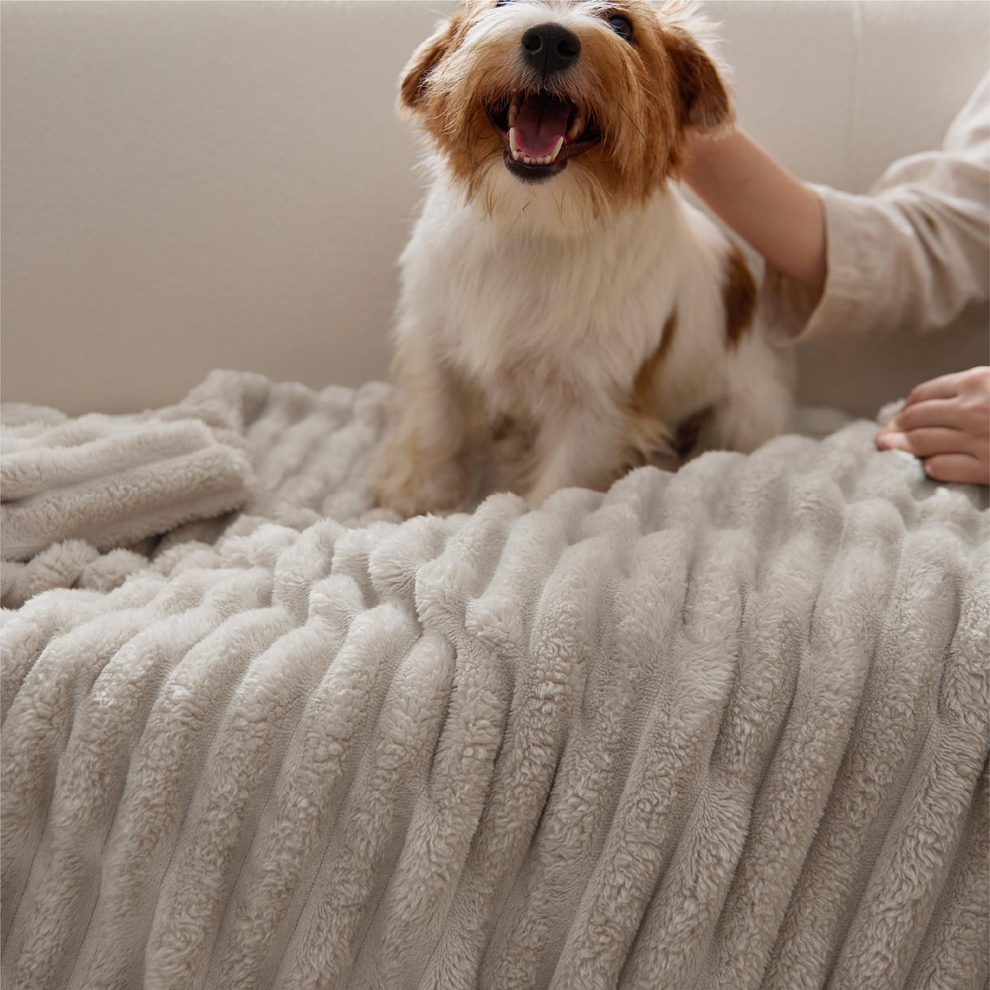 Bedsure GentleSoft King Size Blanket for Bed - Cozy Soft Blankets for Women, Cute Large Fleece Throws for Girls, Beige, 108x90 Inches