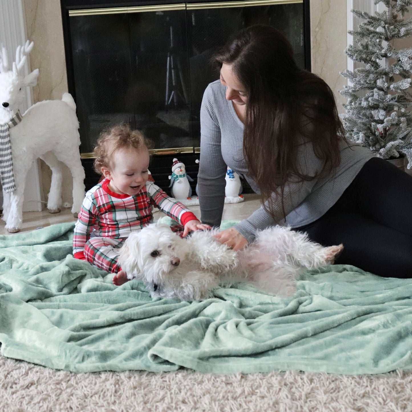 Bedsure Fleece Blanket Twin Size (Beige & Sage Green)