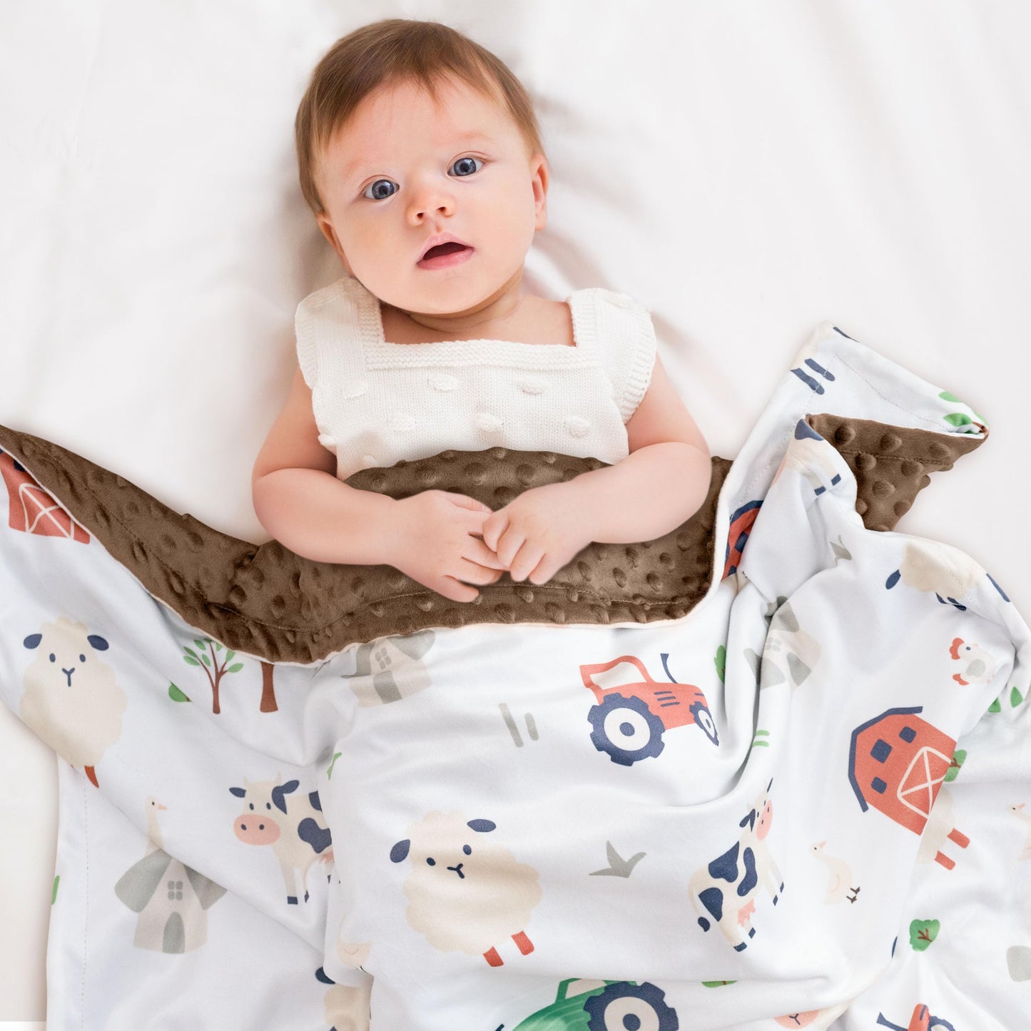 Baby Blanket for Boys Girls, 30x40 Inch Soft Lightweight Minky Dot Blanket with Farm Animals, Double-Layer Dotted Backing for Infant Toddler Nursery Crib, Sensory Security Blanket