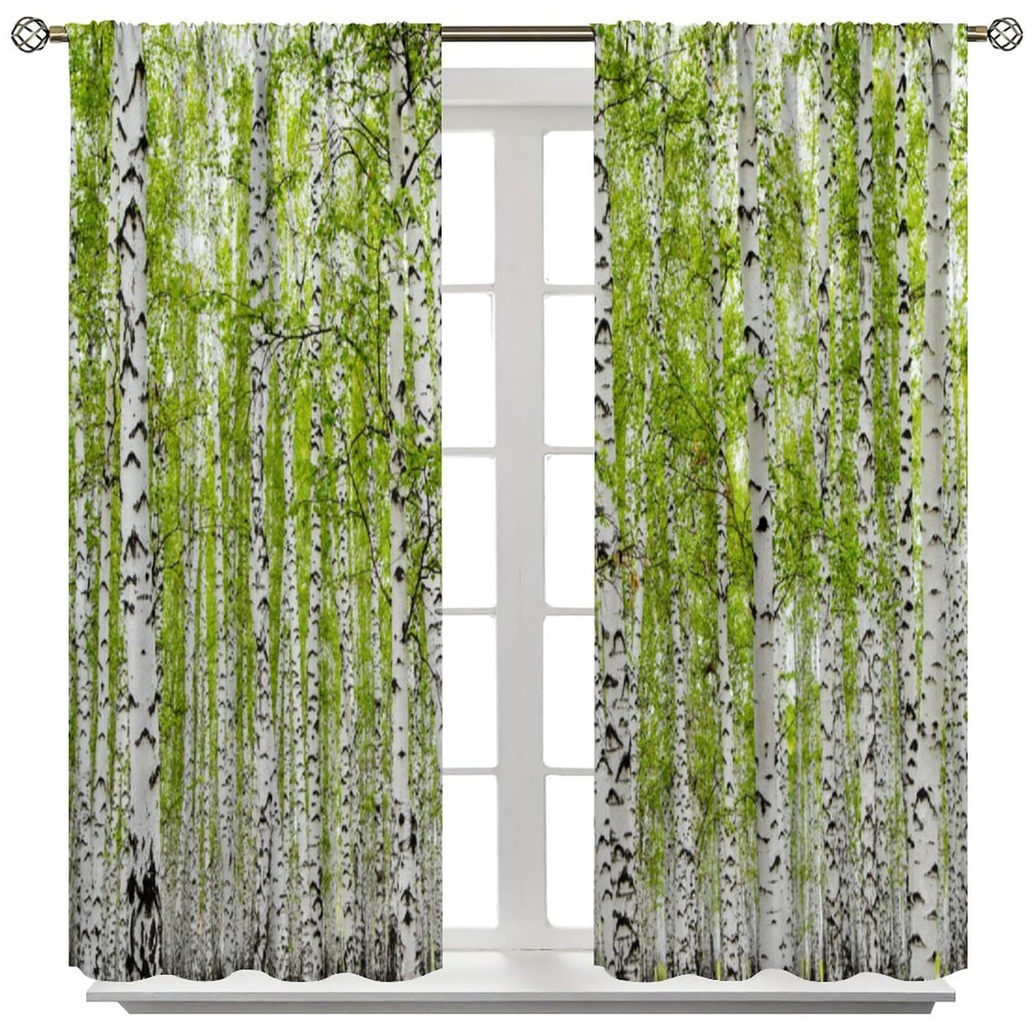 GoDazzling Rustic Farmhouse Birch Trees Curtains, Maple Leaves Forest Grove Wood Nature Spring Summer Scenery Window Drapes, for Living Room Bedroom 41" W X 45" L (No Blackout)